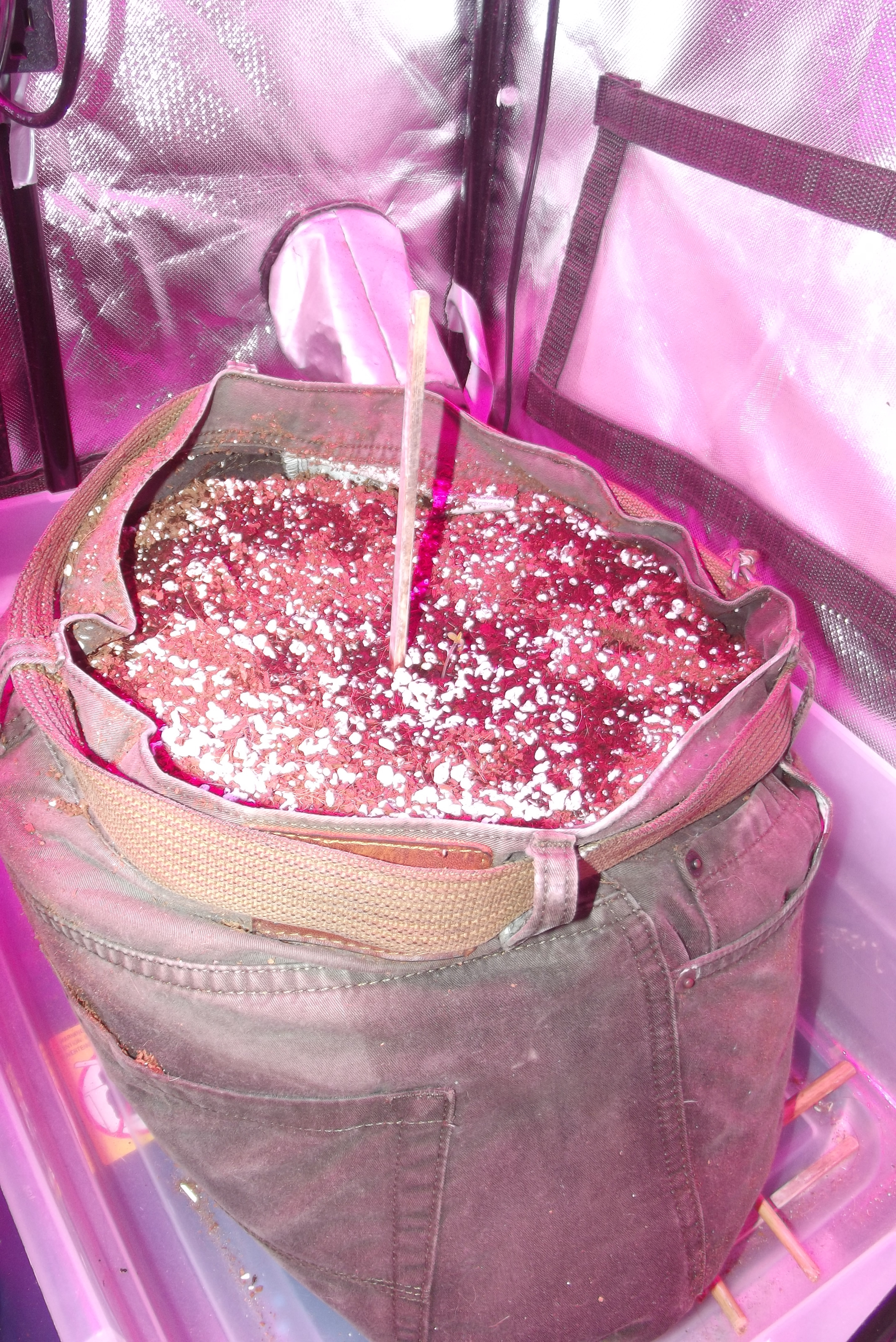 DSCF7787.JPG
