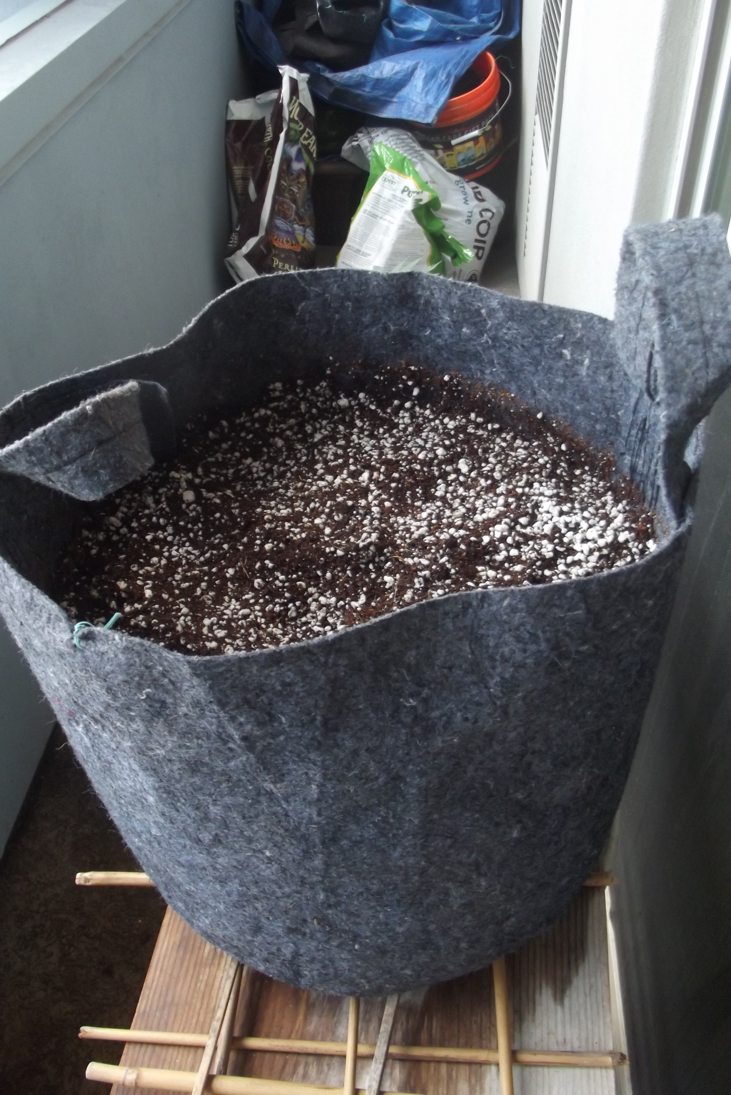 DSCF7850.JPG