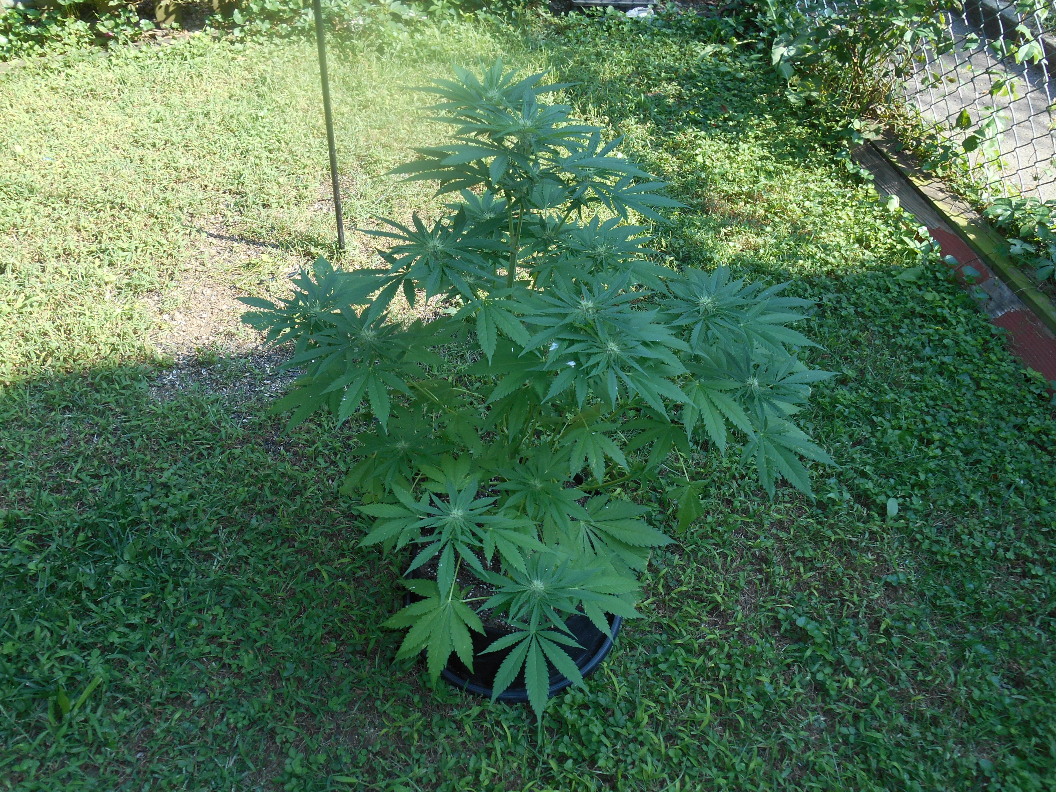 DSCN0580.jpg