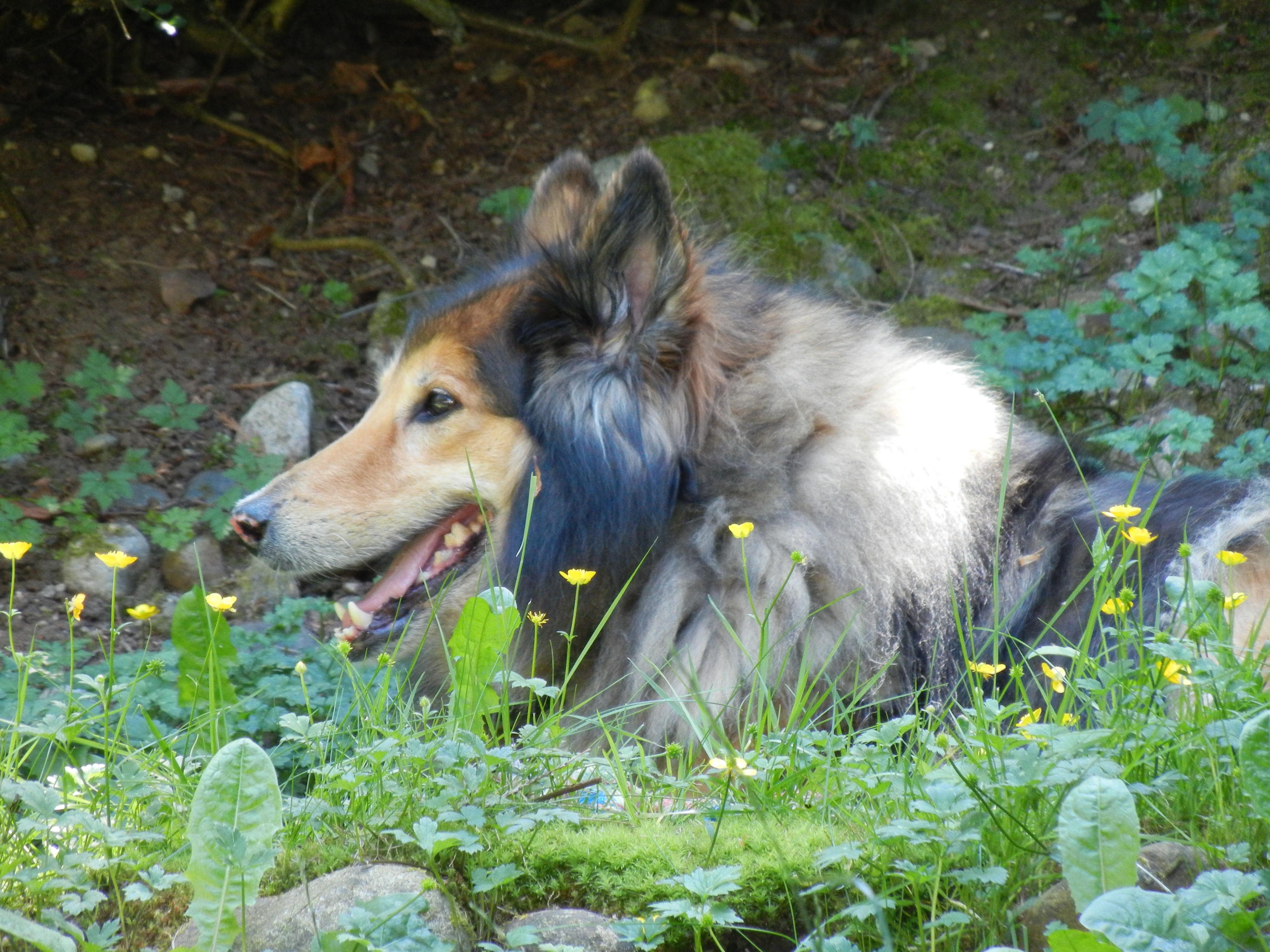 DSCN2128.JPG