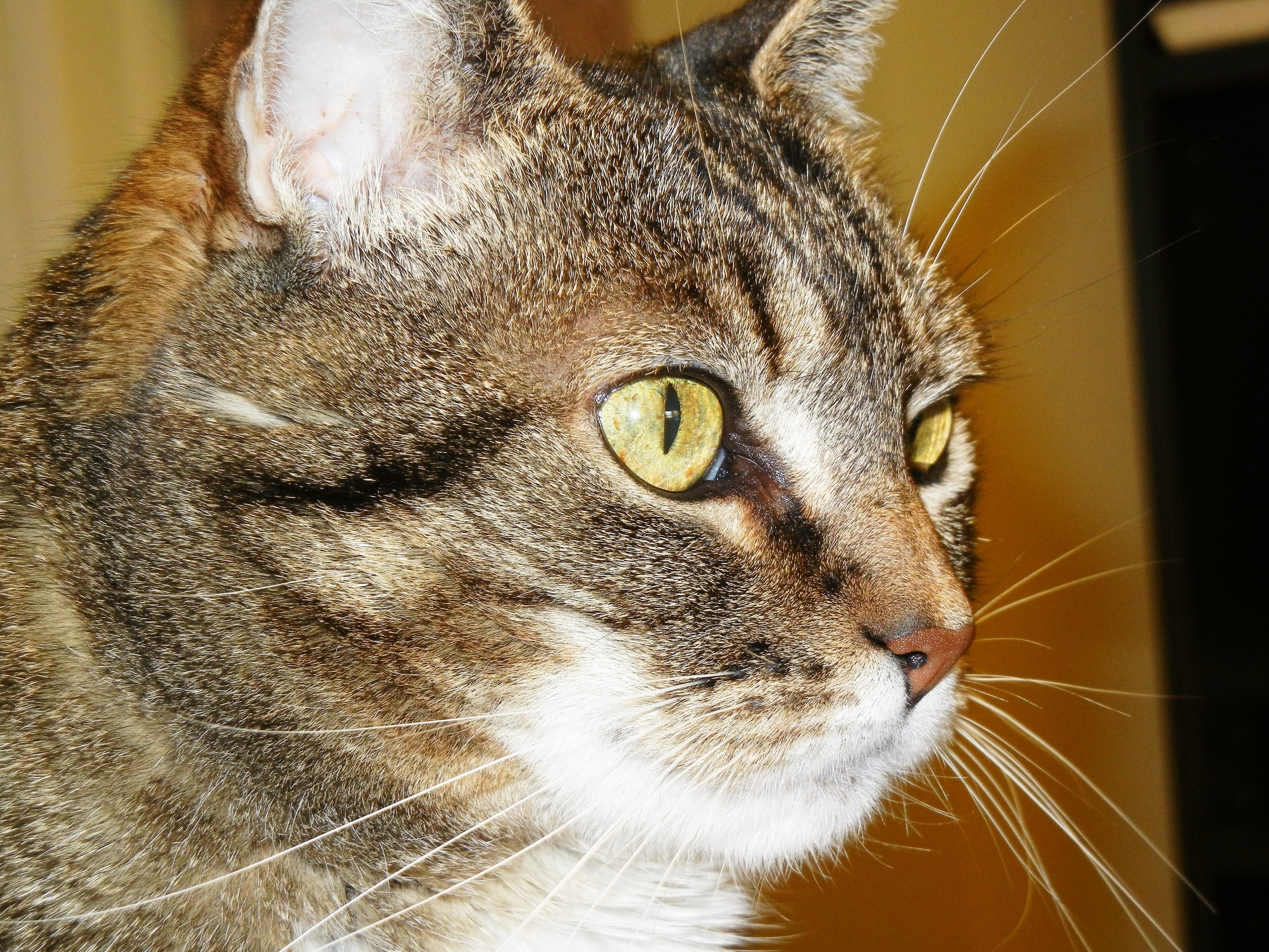 DSCN2213.JPG