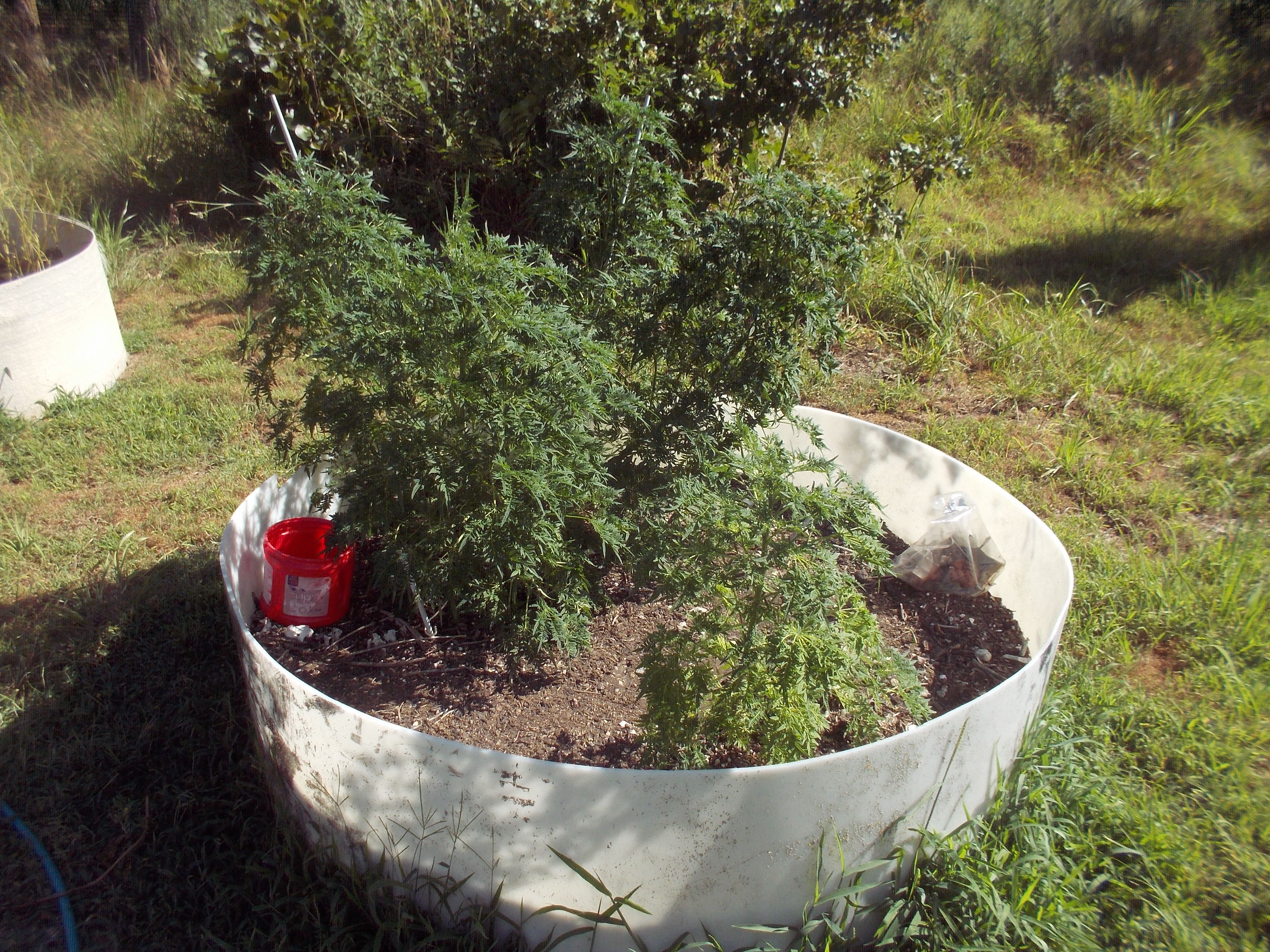 DSCN2511.jpg