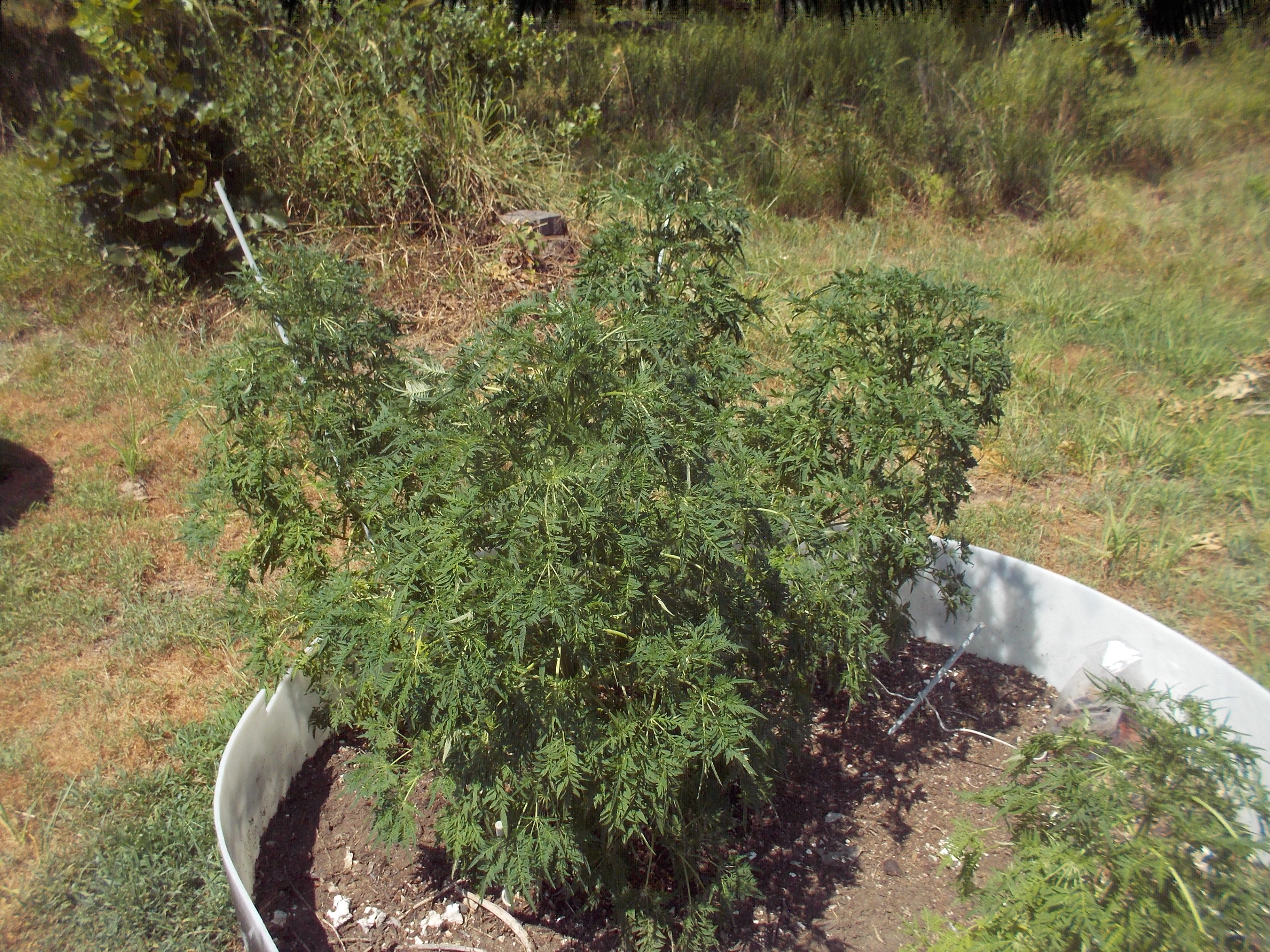 DSCN2519.jpg
