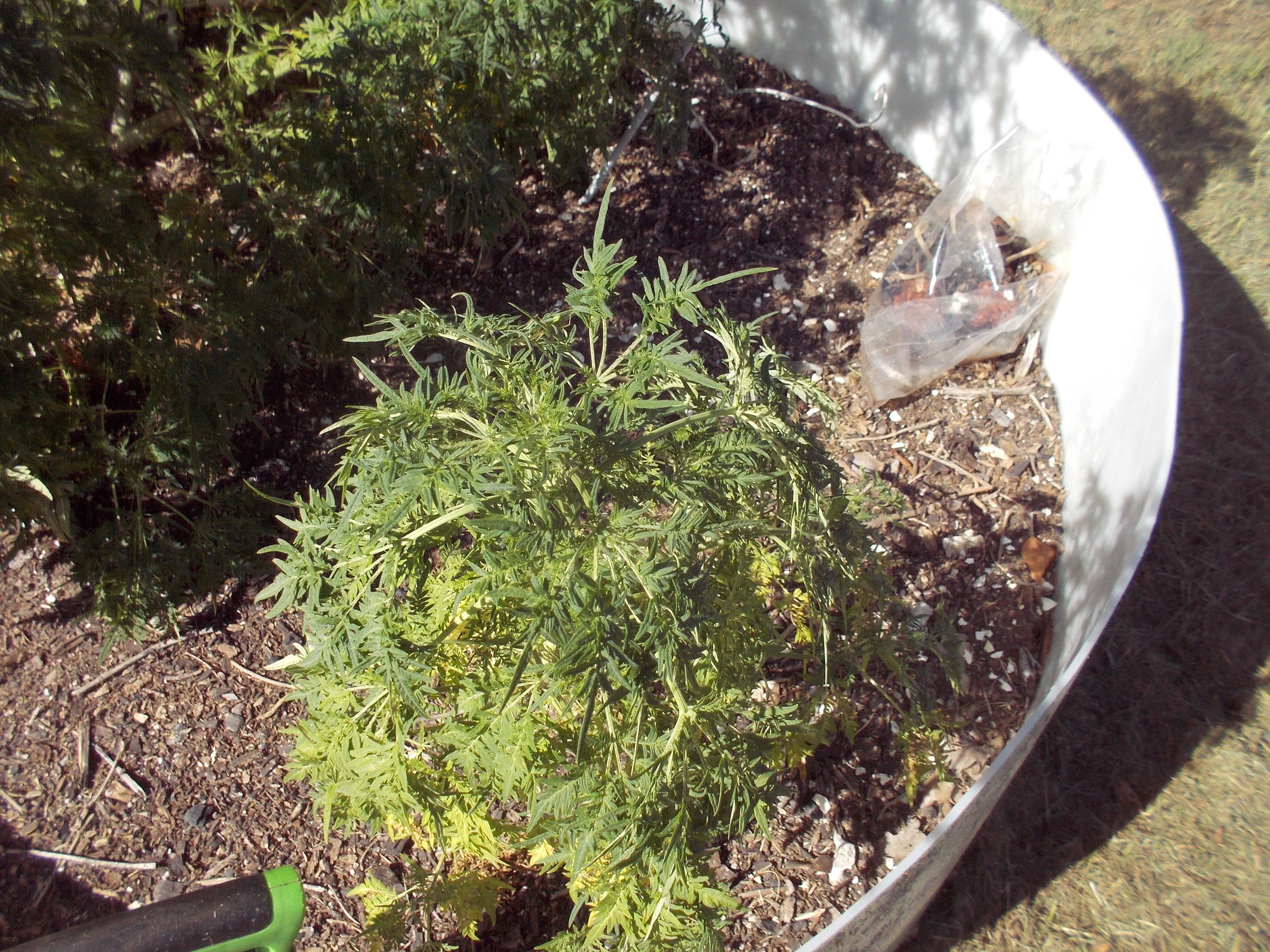DSCN2529.jpg