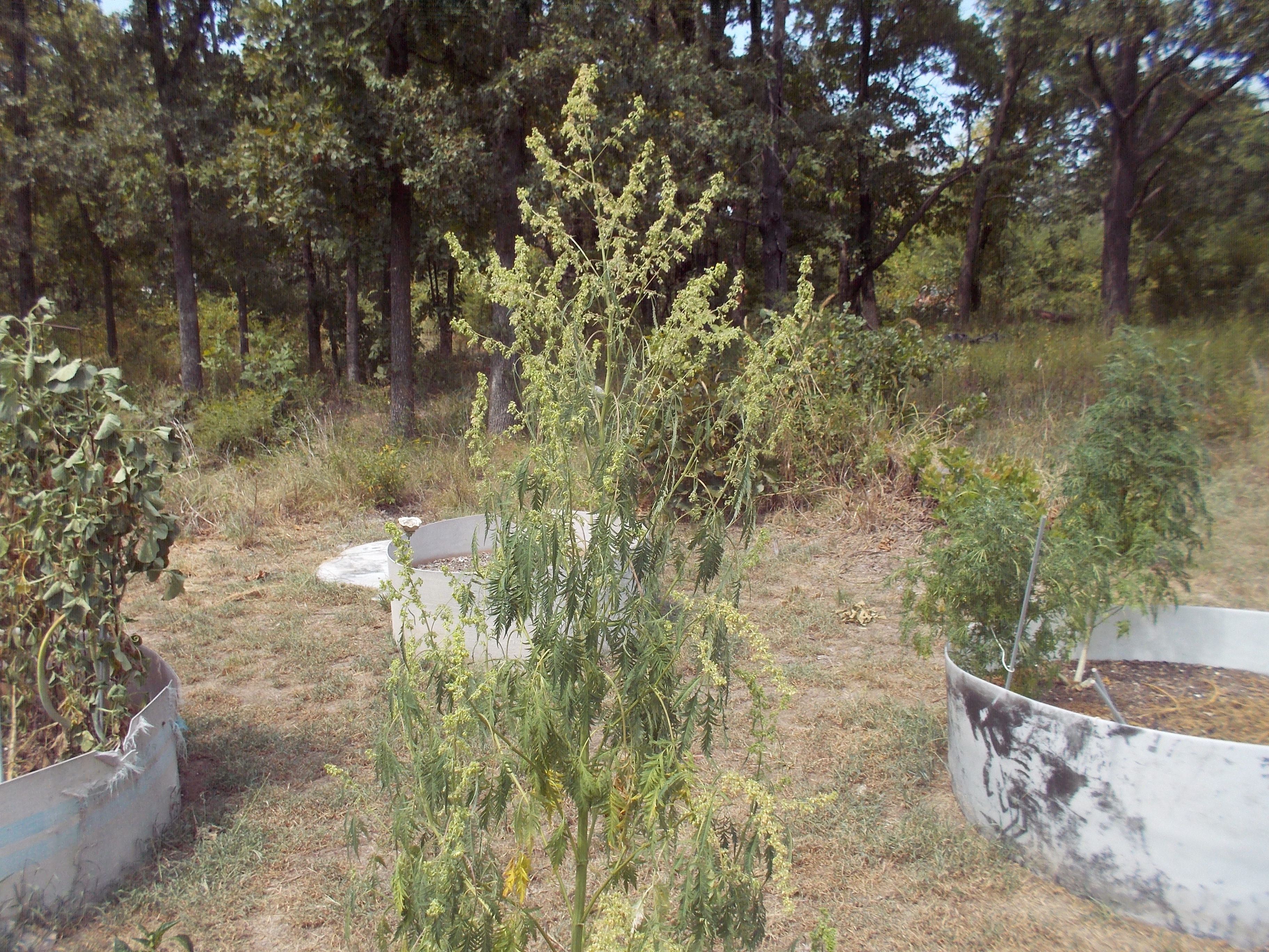 DSCN2548.jpg