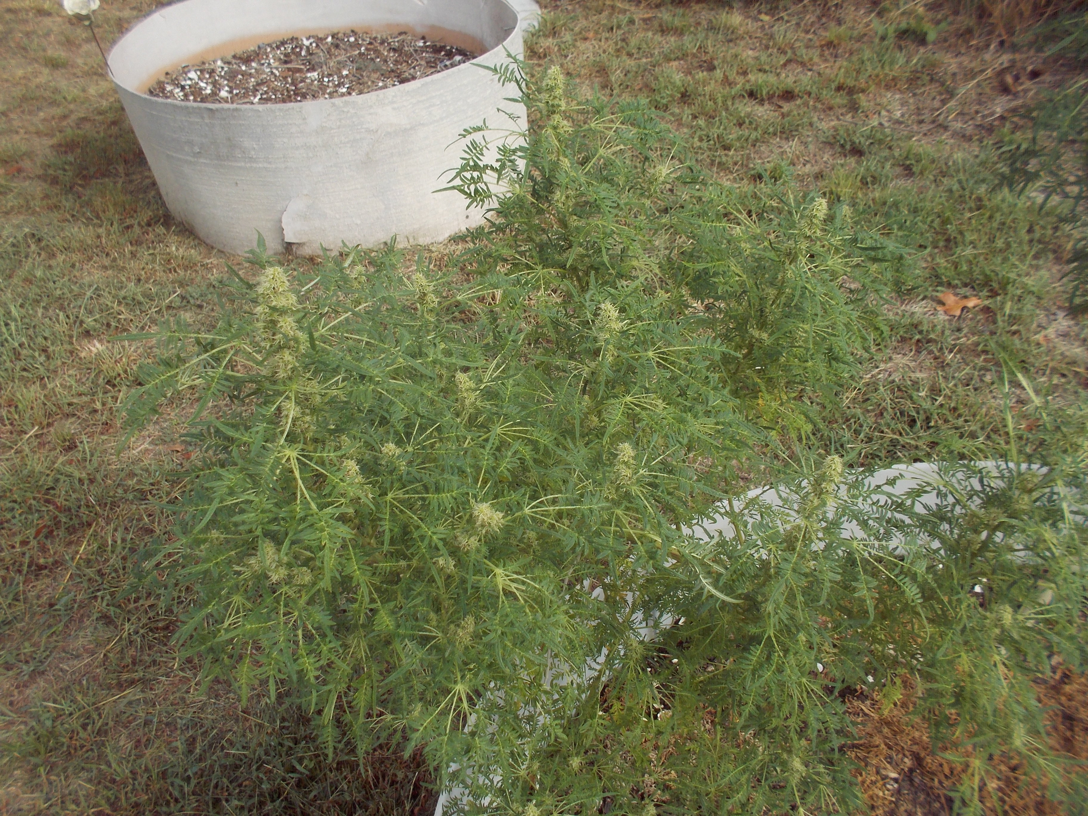 DSCN2558.jpg
