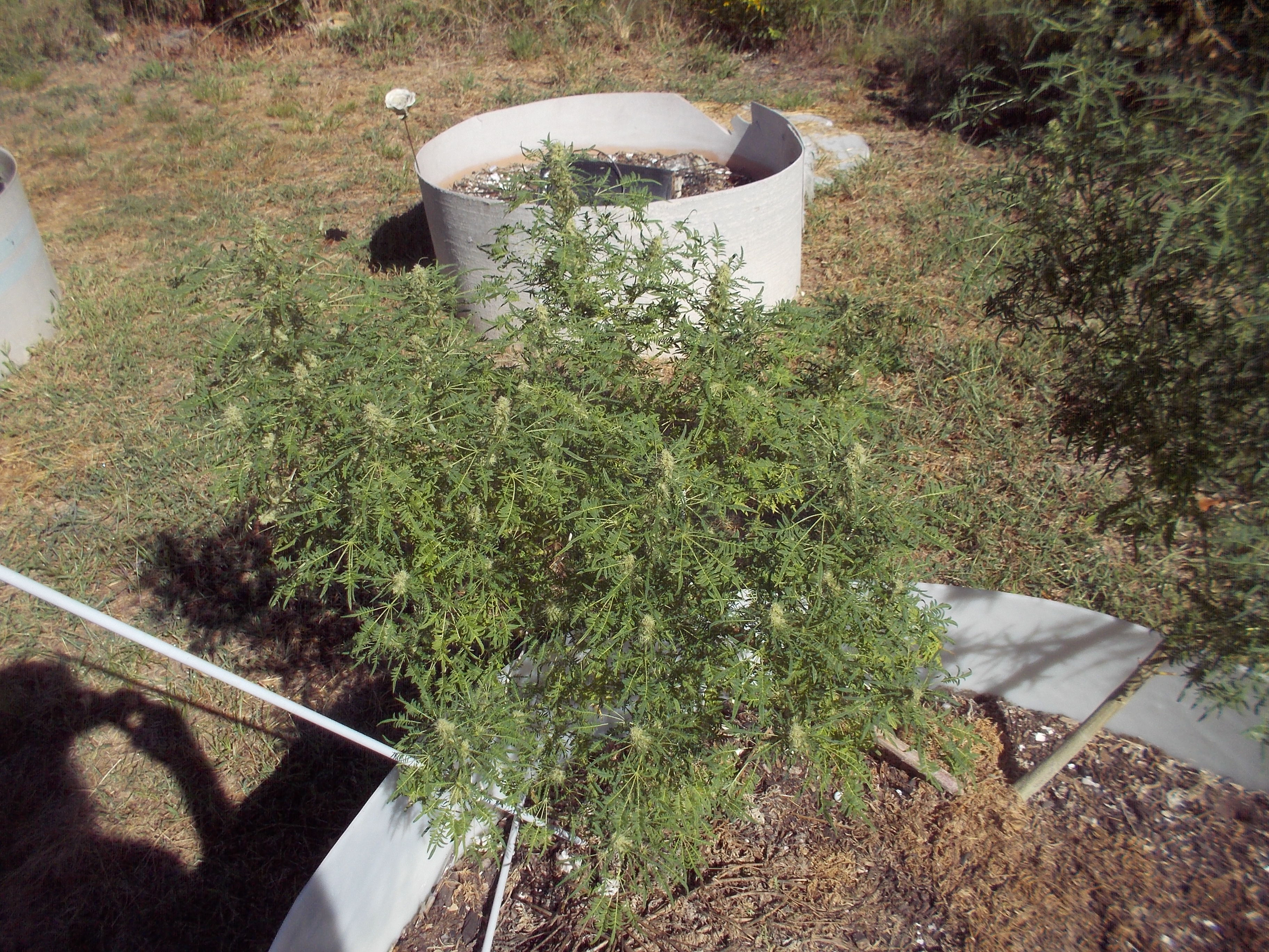 DSCN2564.jpg