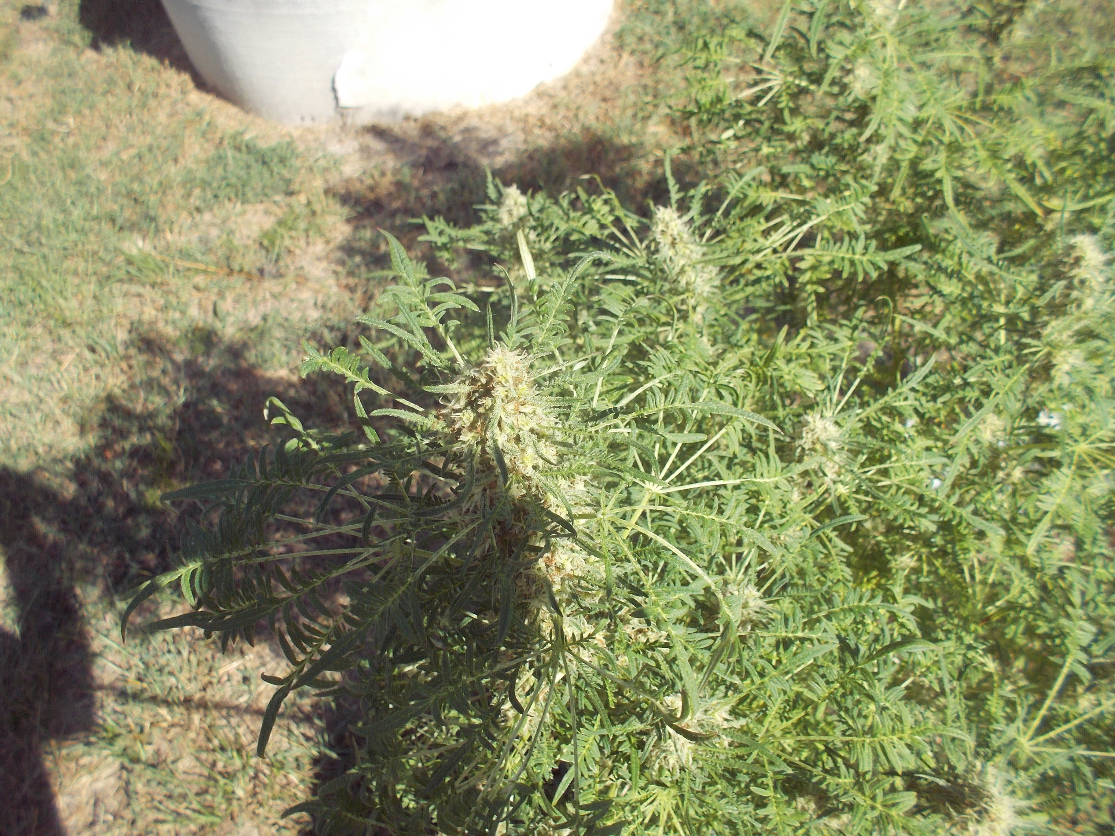 DSCN2576.jpg