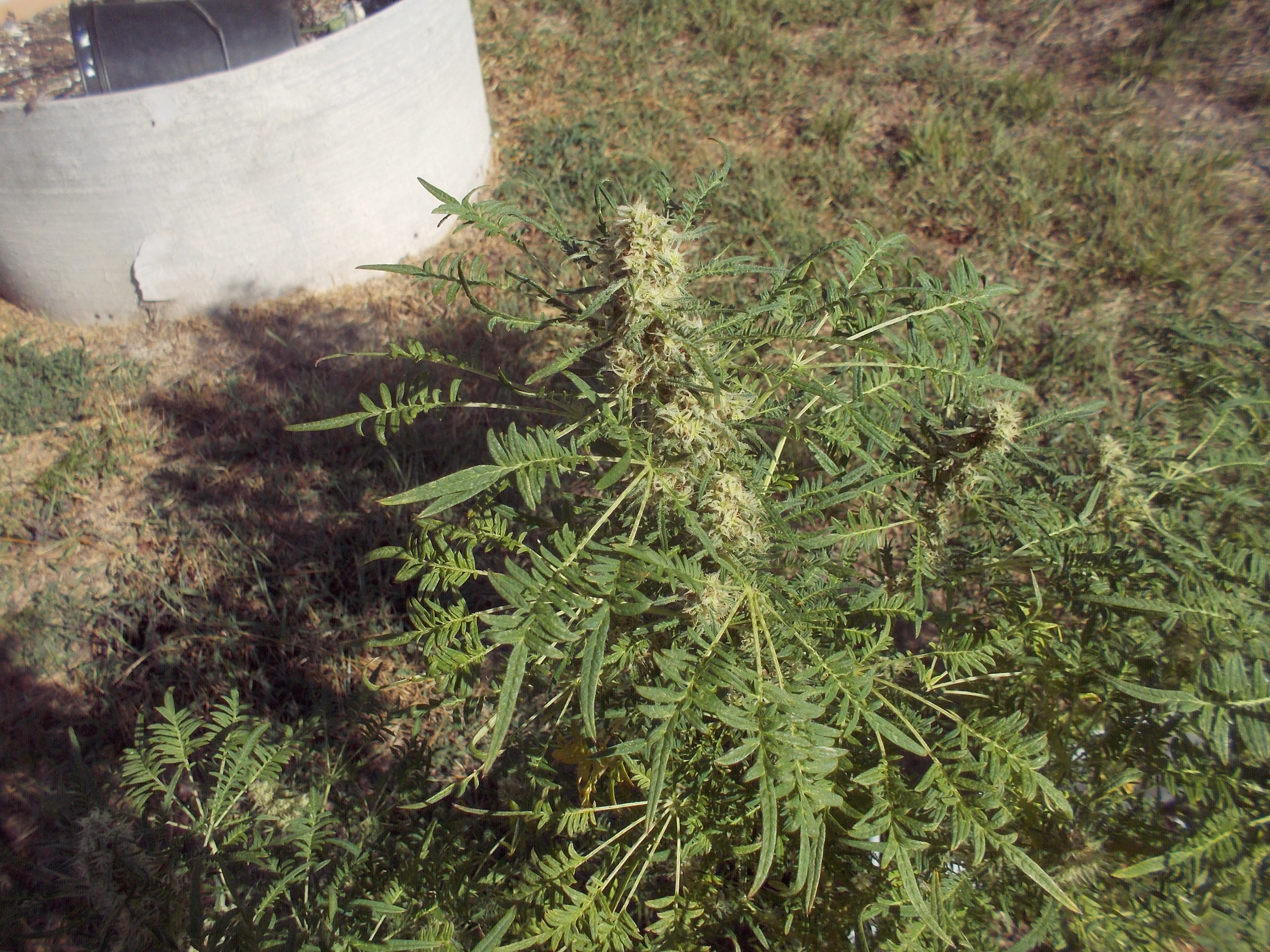 DSCN2577.jpg