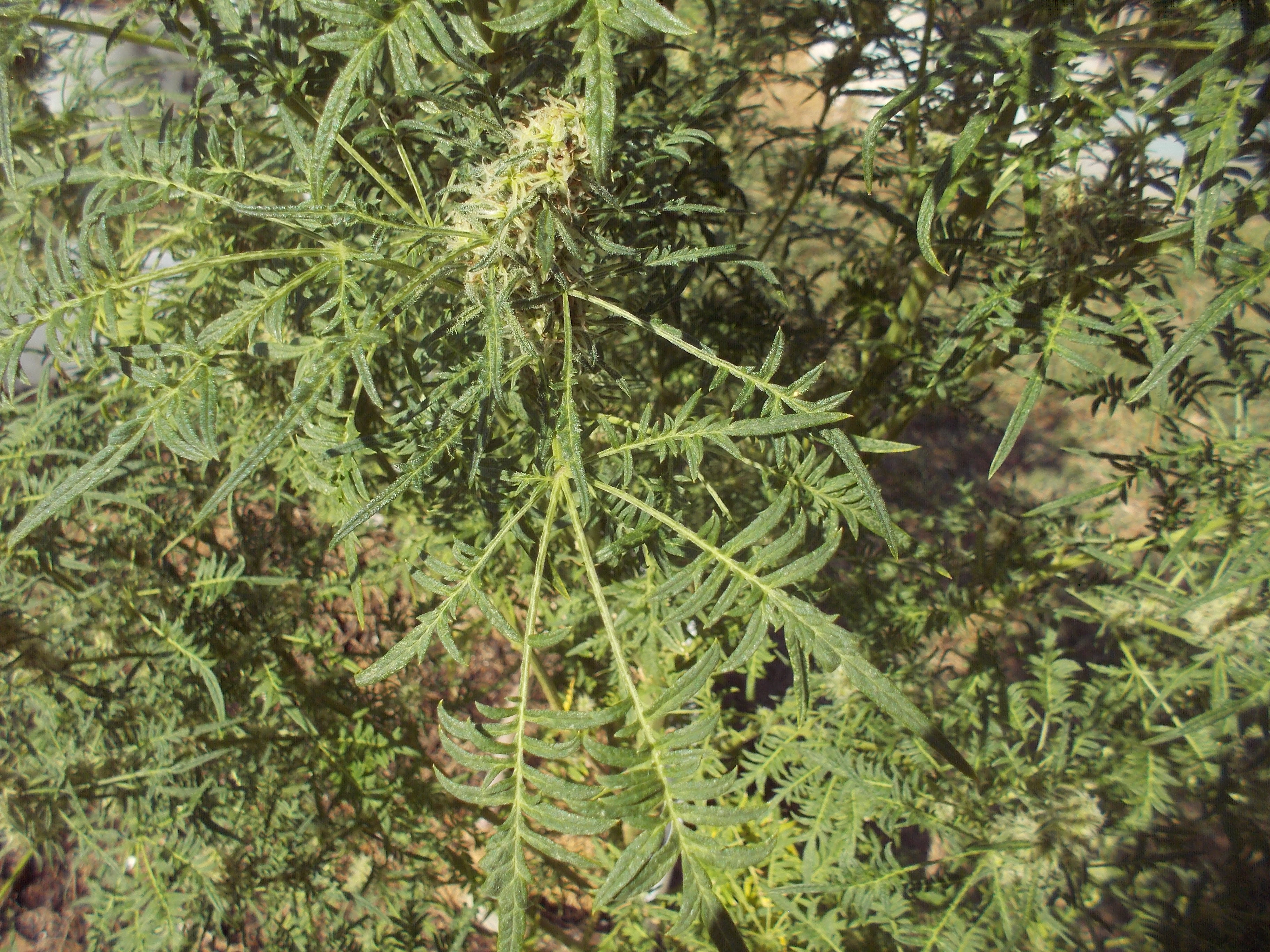 DSCN2579.jpg