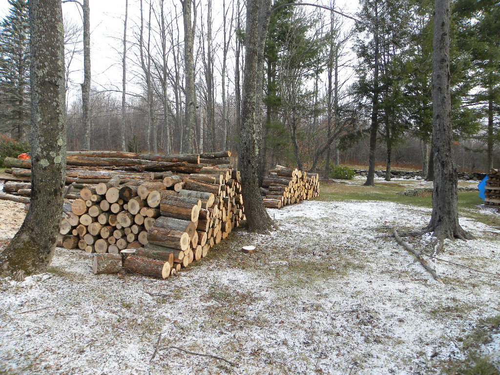 DSCN2895.JPG