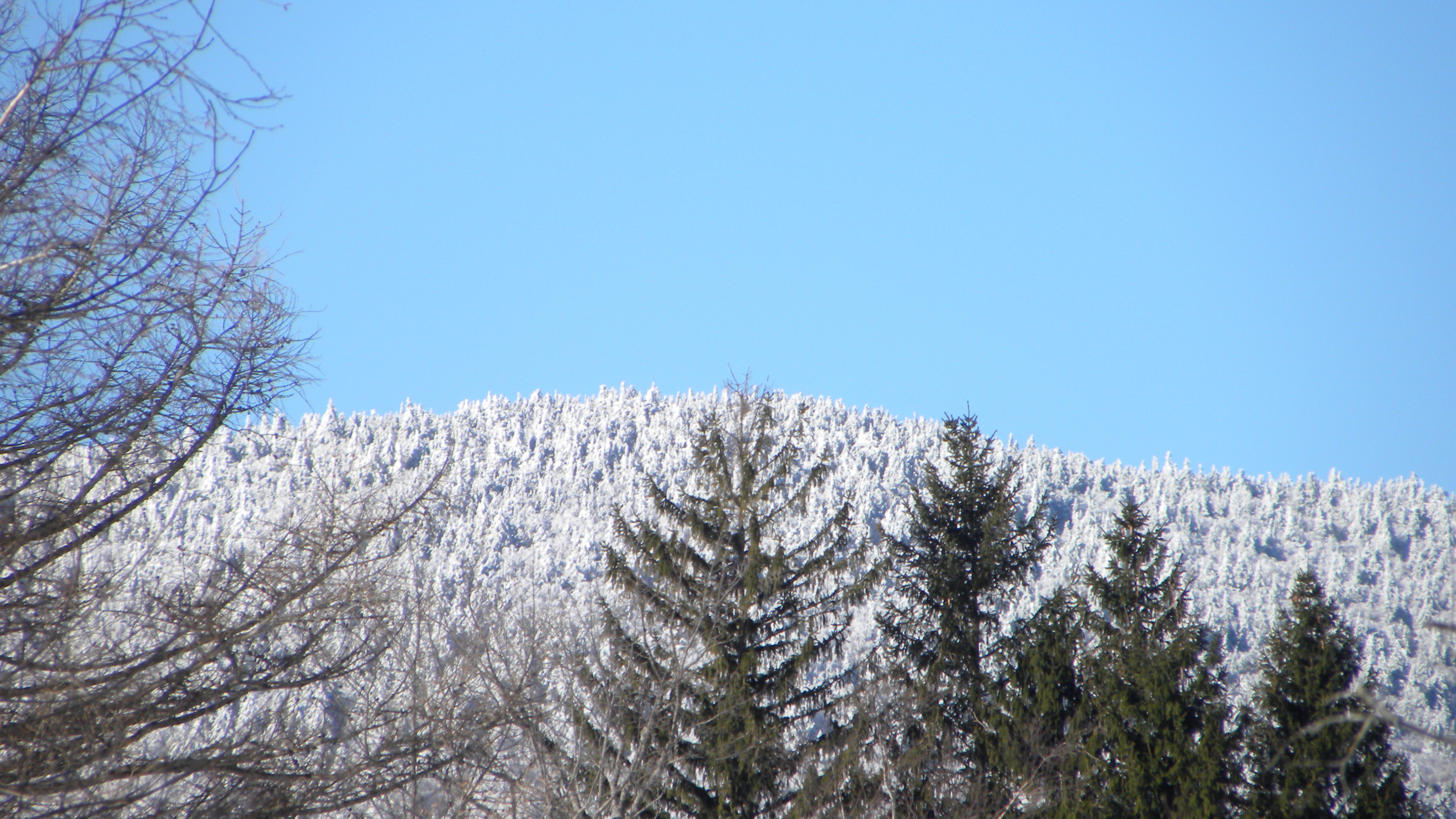 DSCN4578.JPG