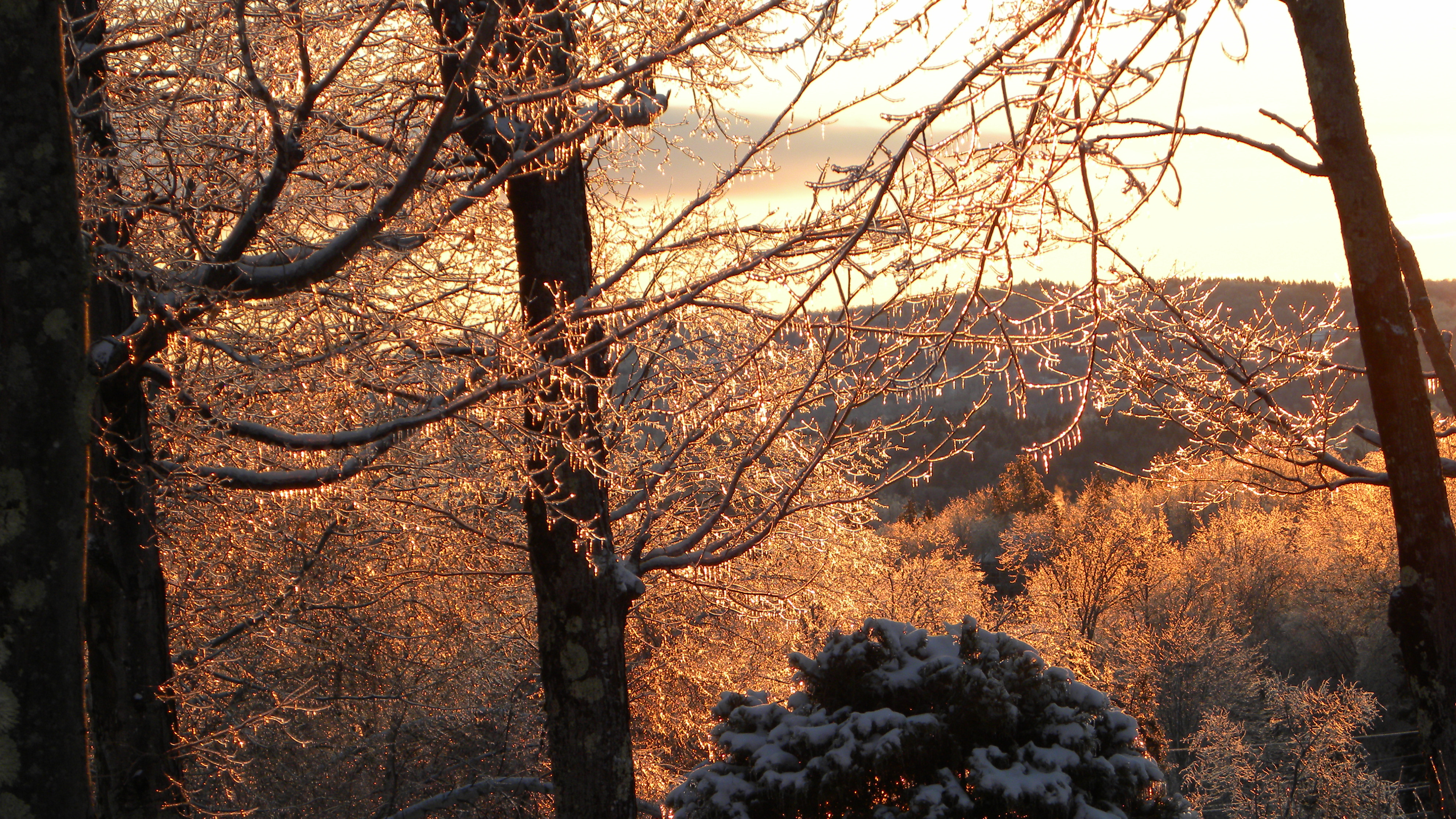 Click image for larger version  Name:	DSCN4612.JPG Views:	0 Size:	3.99 MB ID:	374167