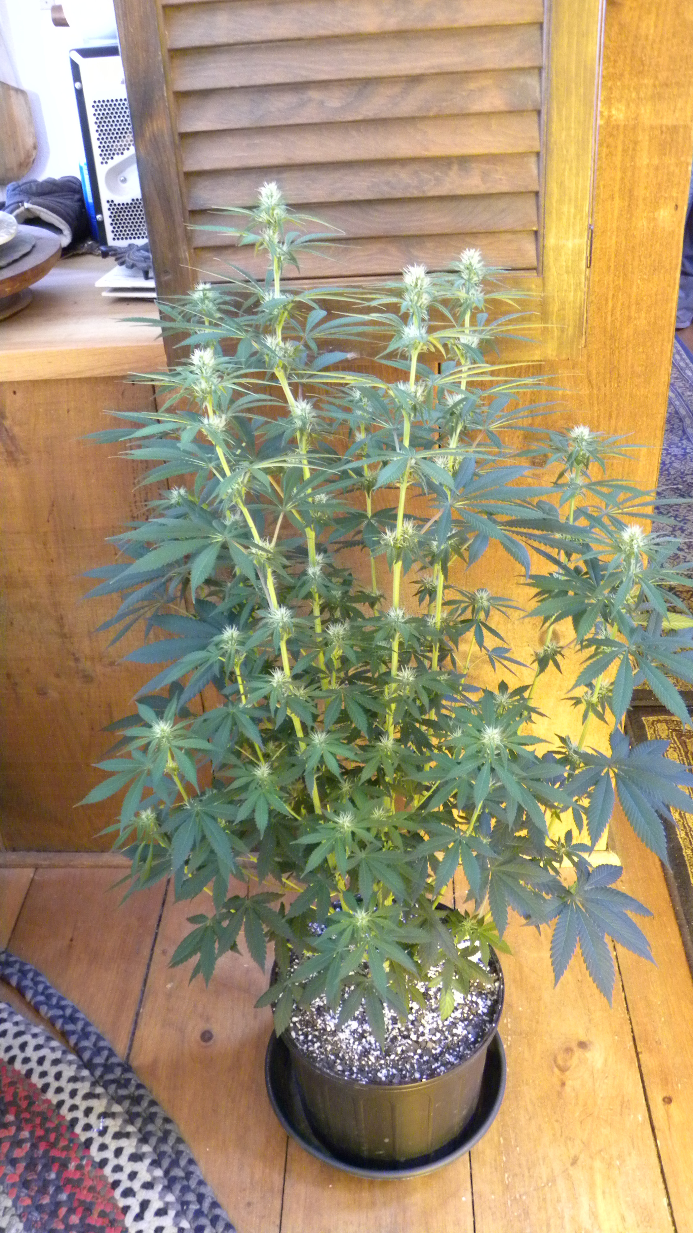 DSCN4622.JPG