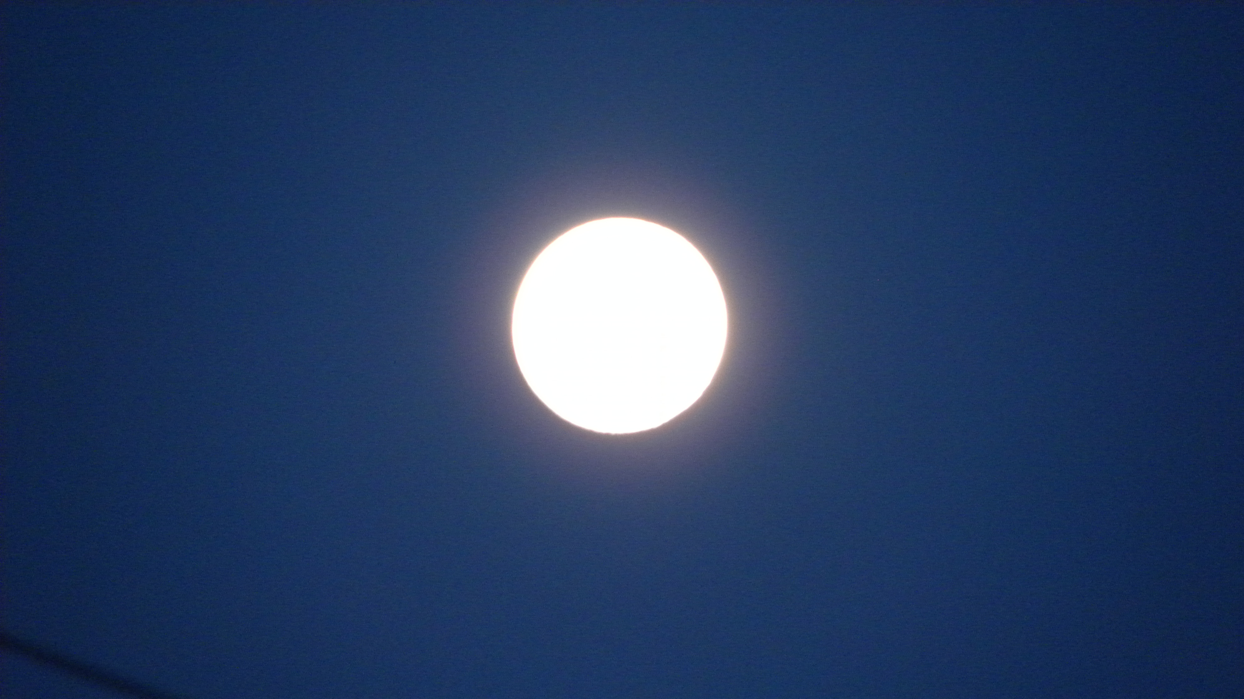 DSCN4664.JPG
