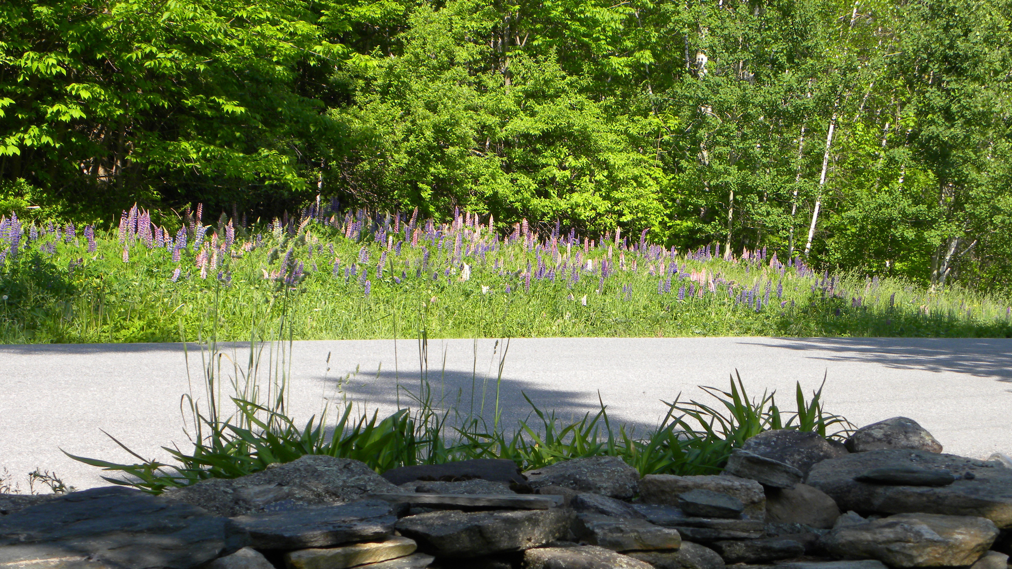 Click image for larger version  Name:	DSCN4827.JPG Views:	0 Size:	3.93 MB ID:	415321