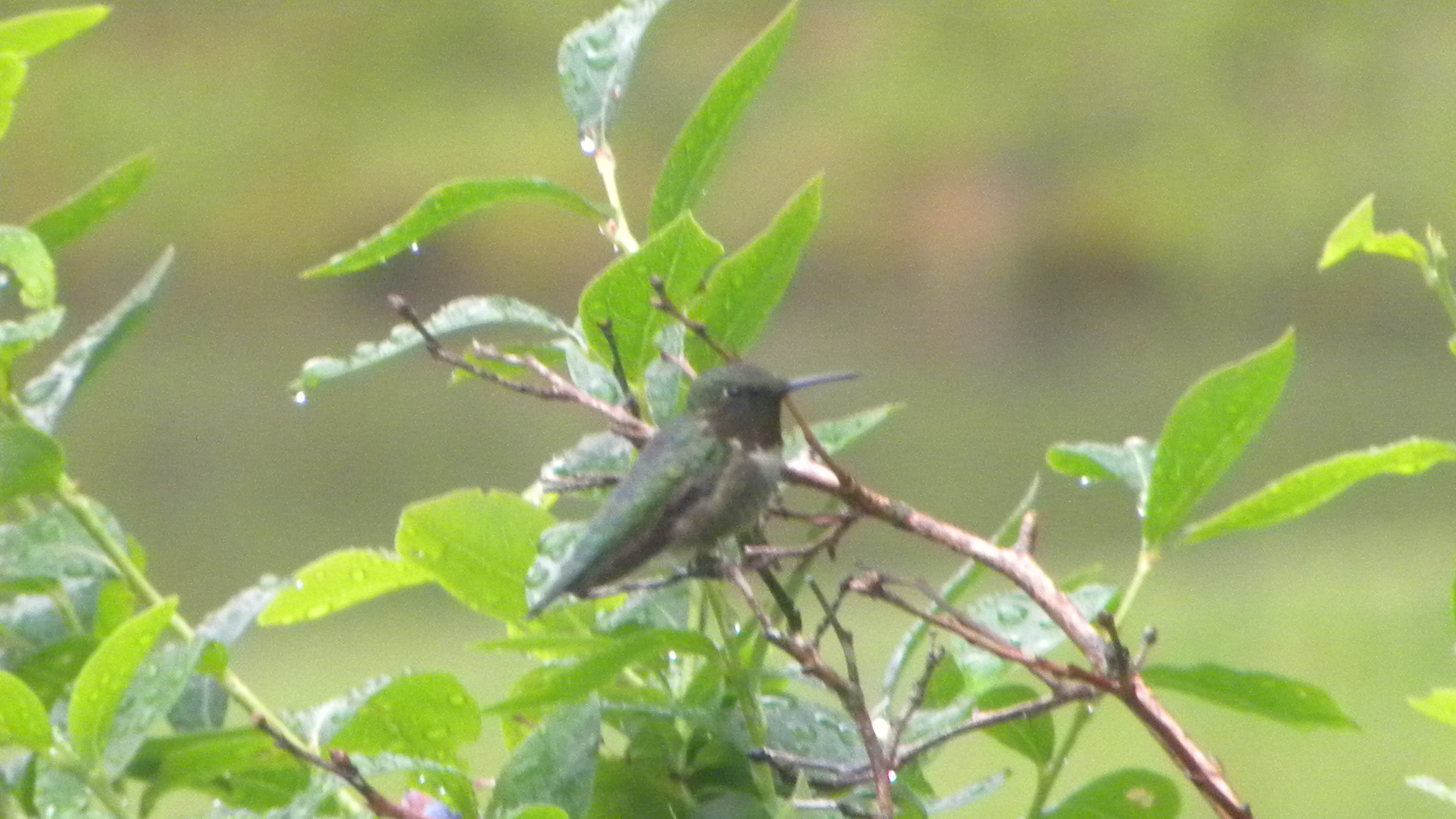 DSCN4876.JPG