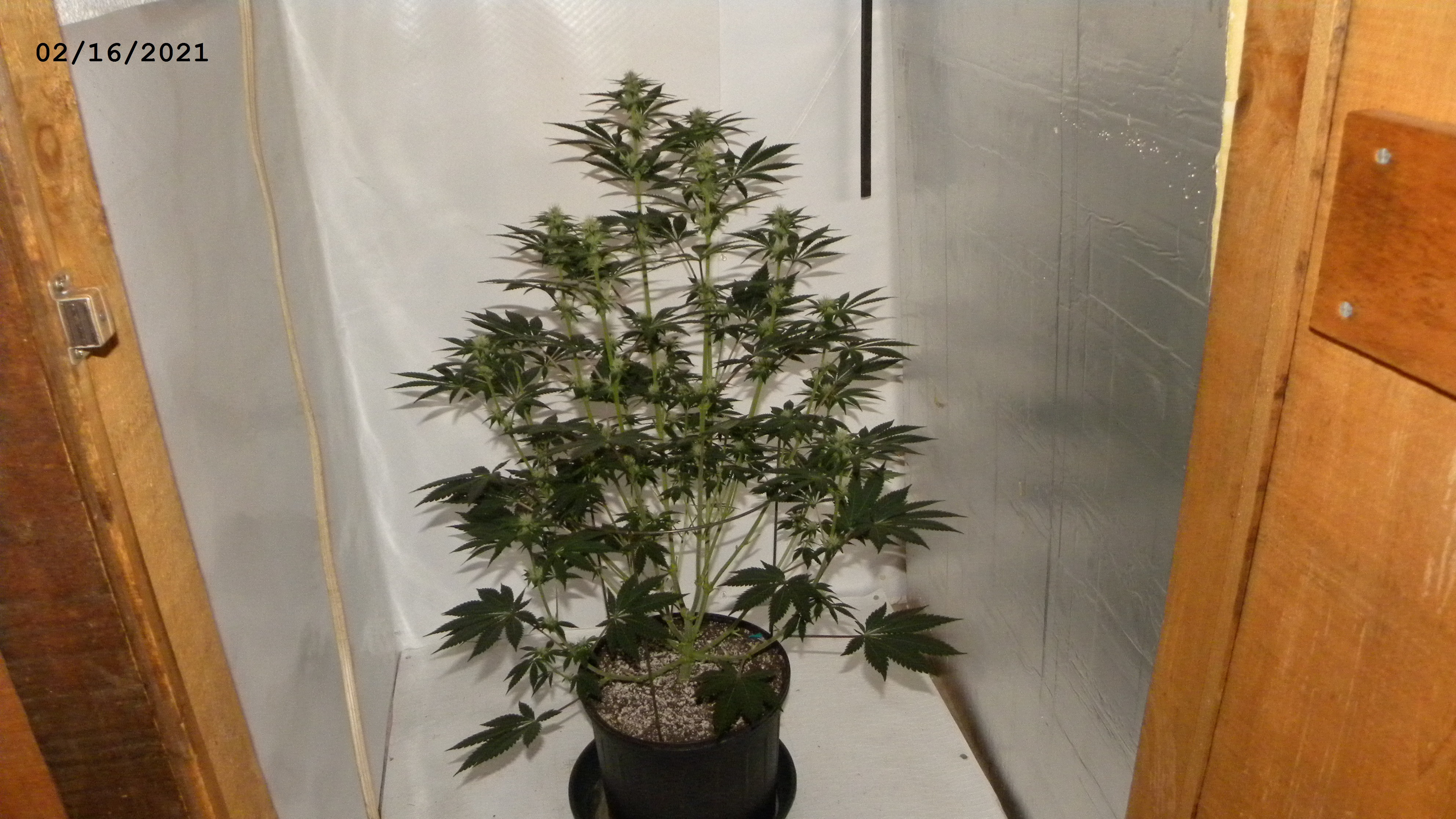 DSCN5012.JPG
