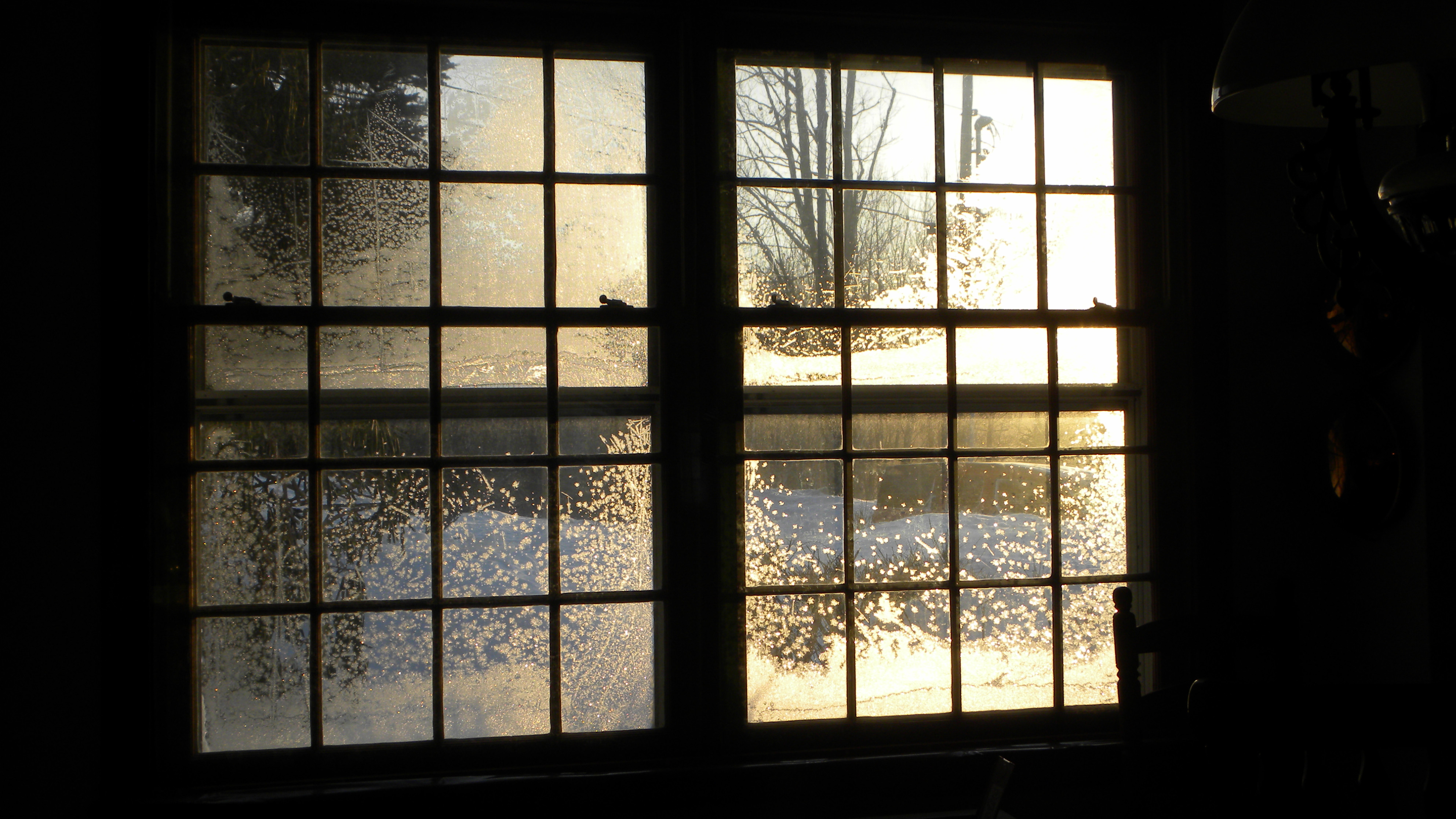 DSCN5046.JPG