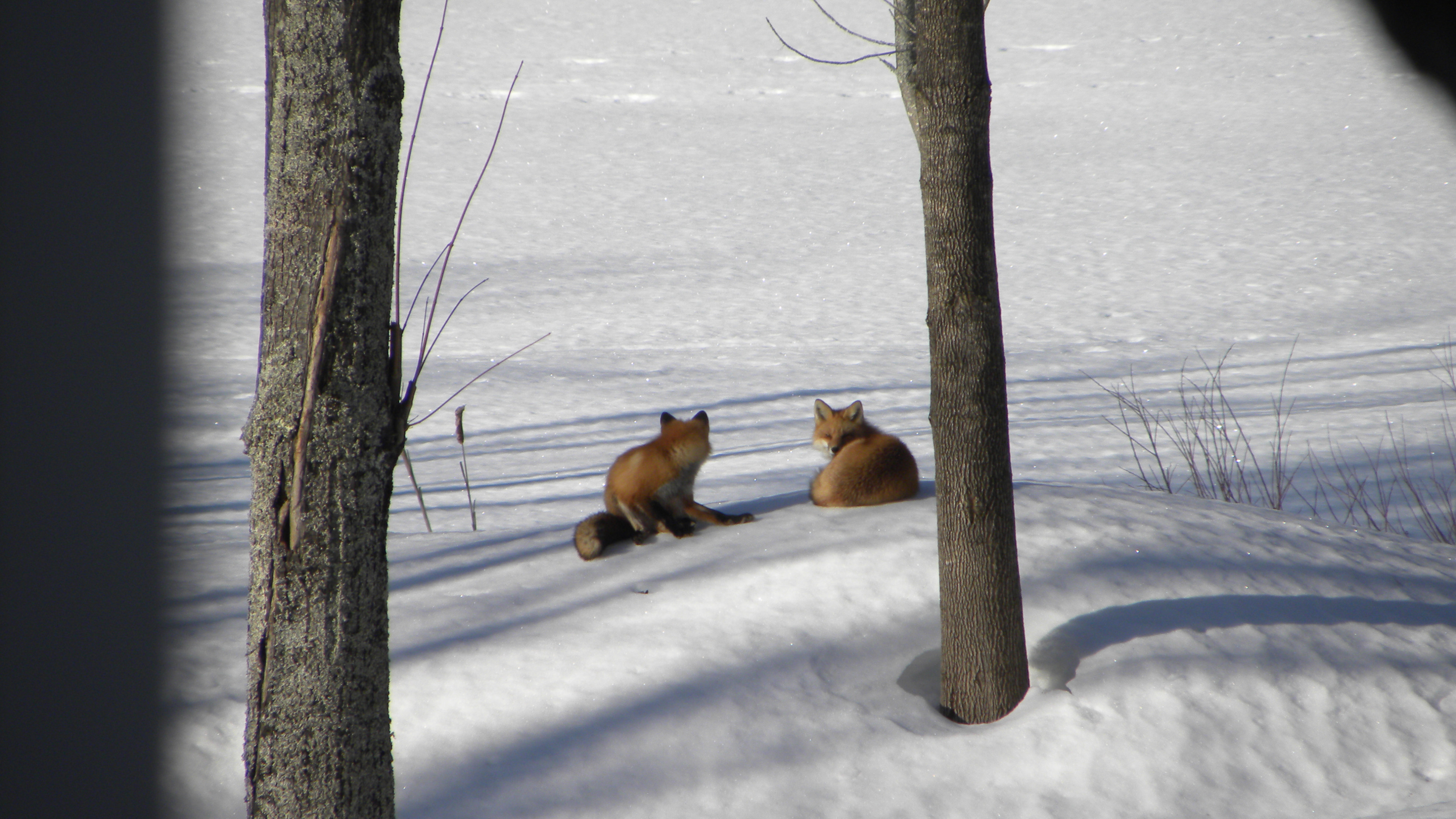 DSCN5070.JPG