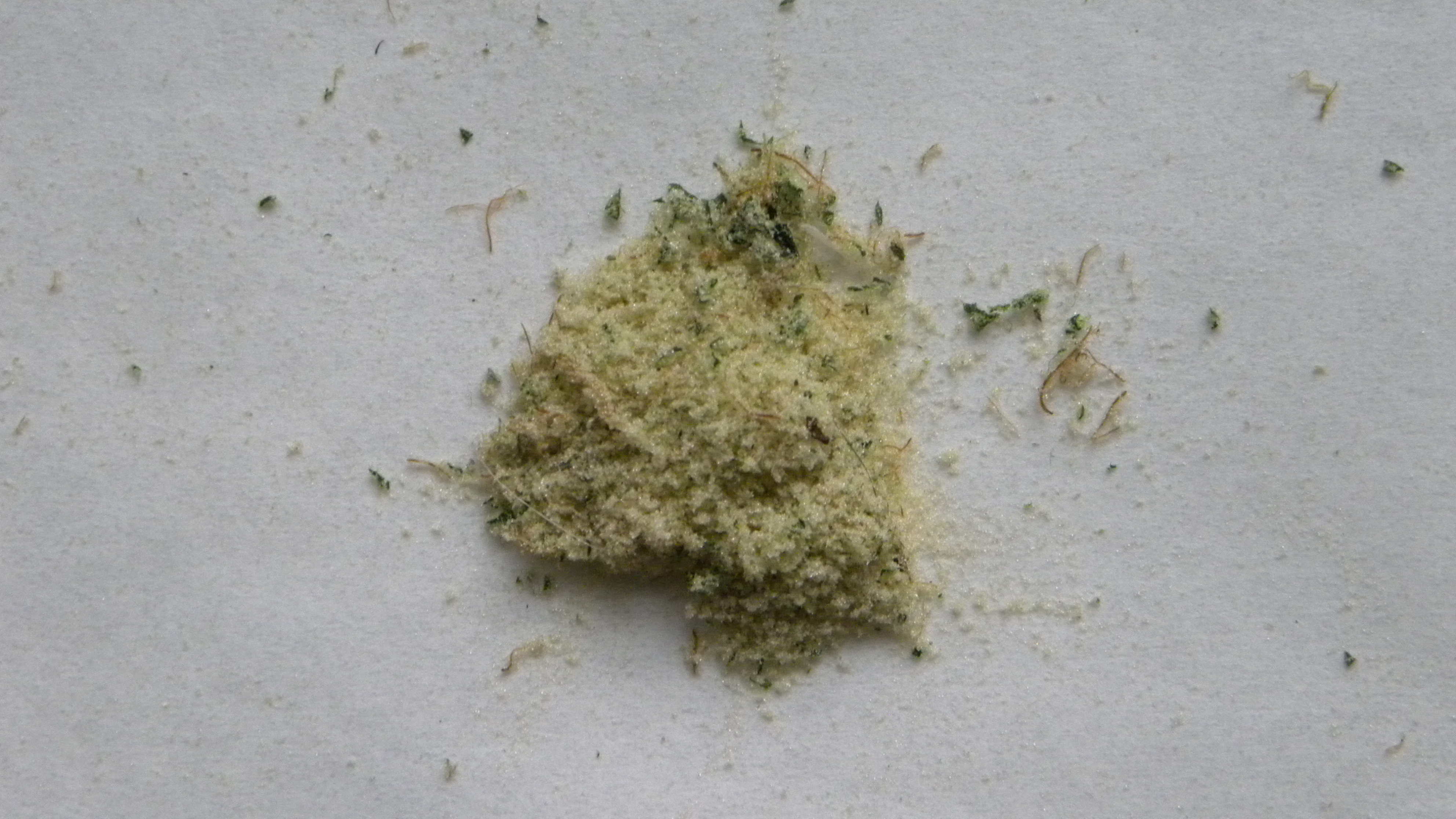 DSCN5153.JPG