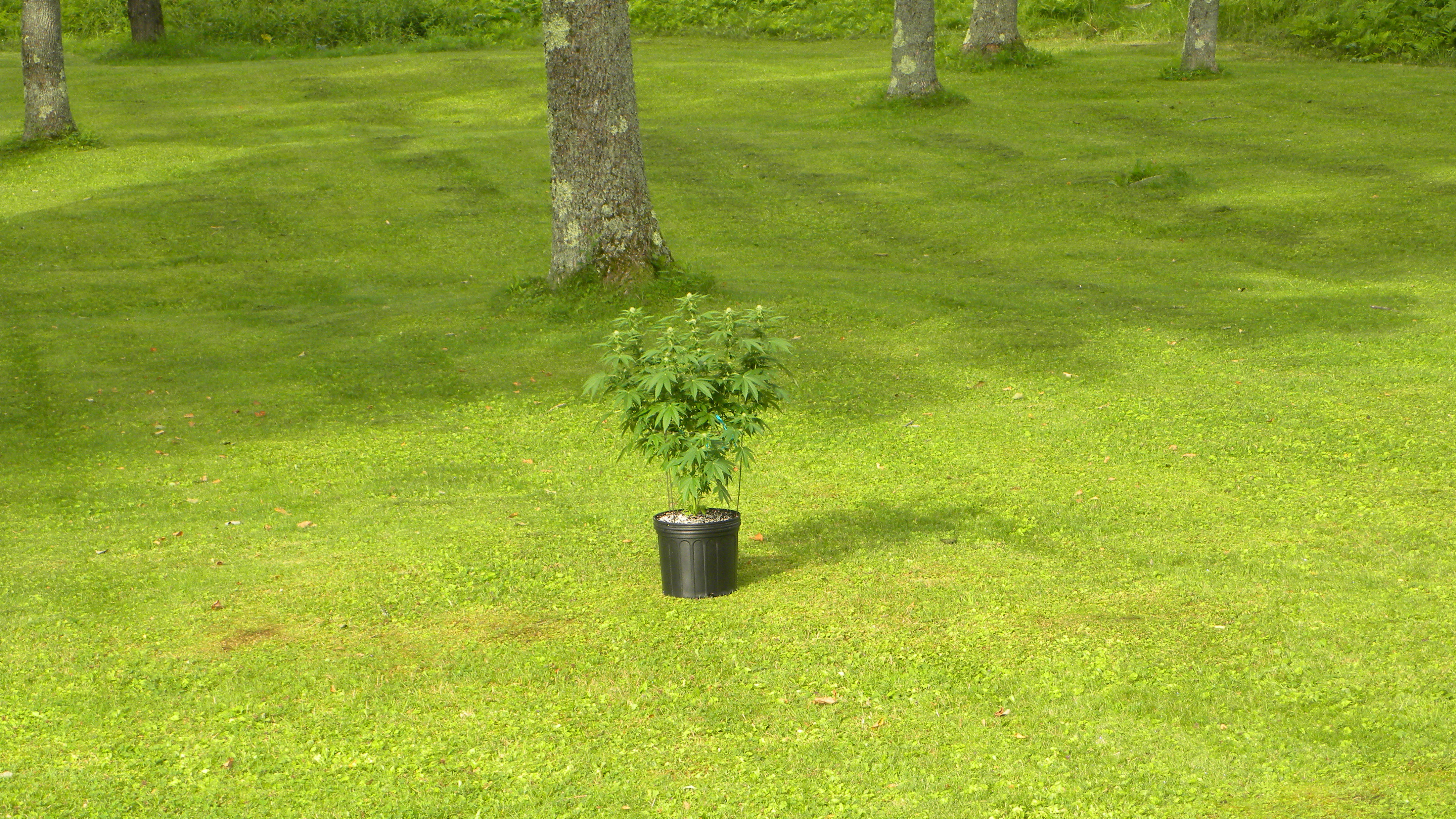 DSCN5175.JPG
