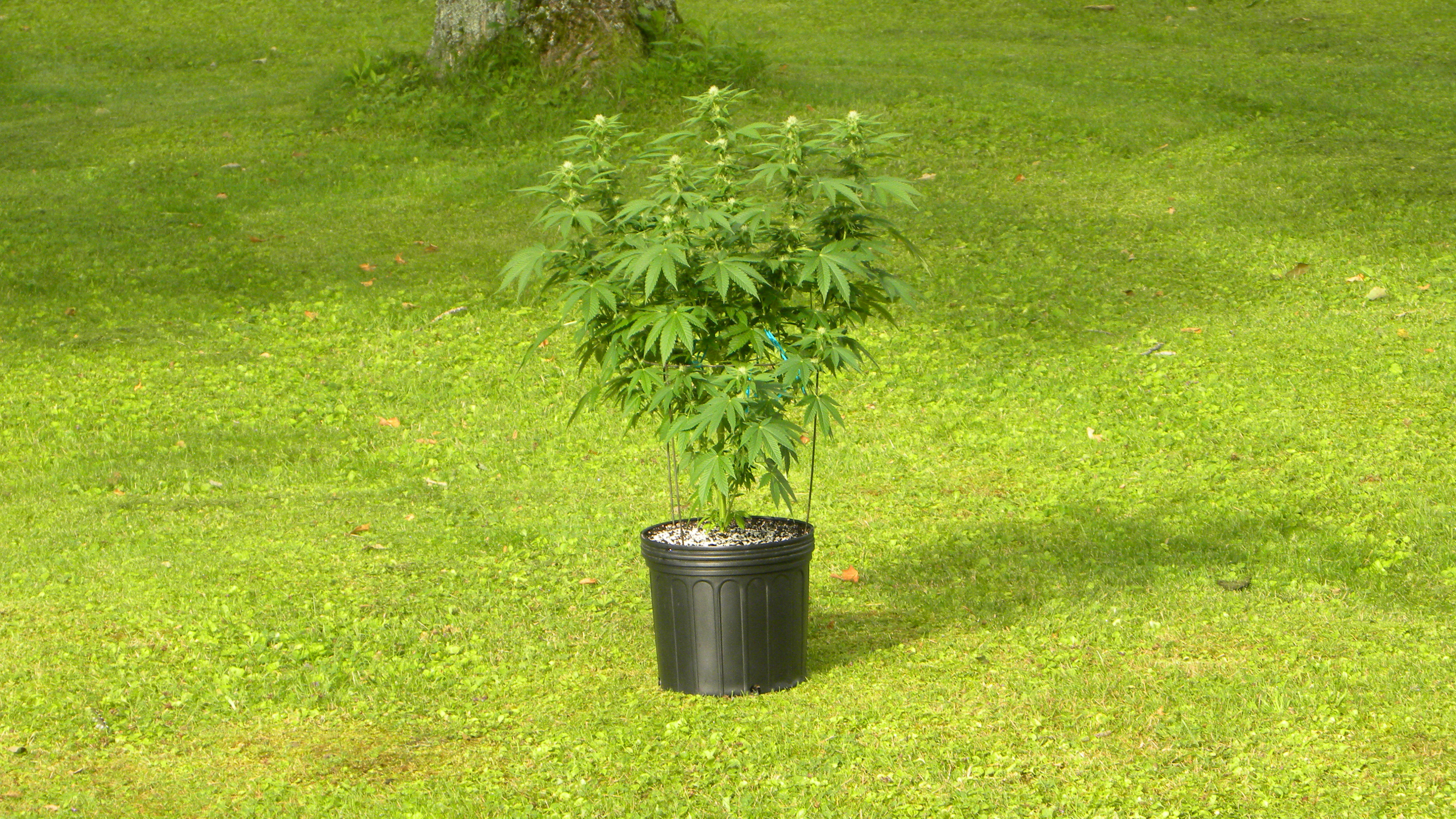 DSCN5176.JPG