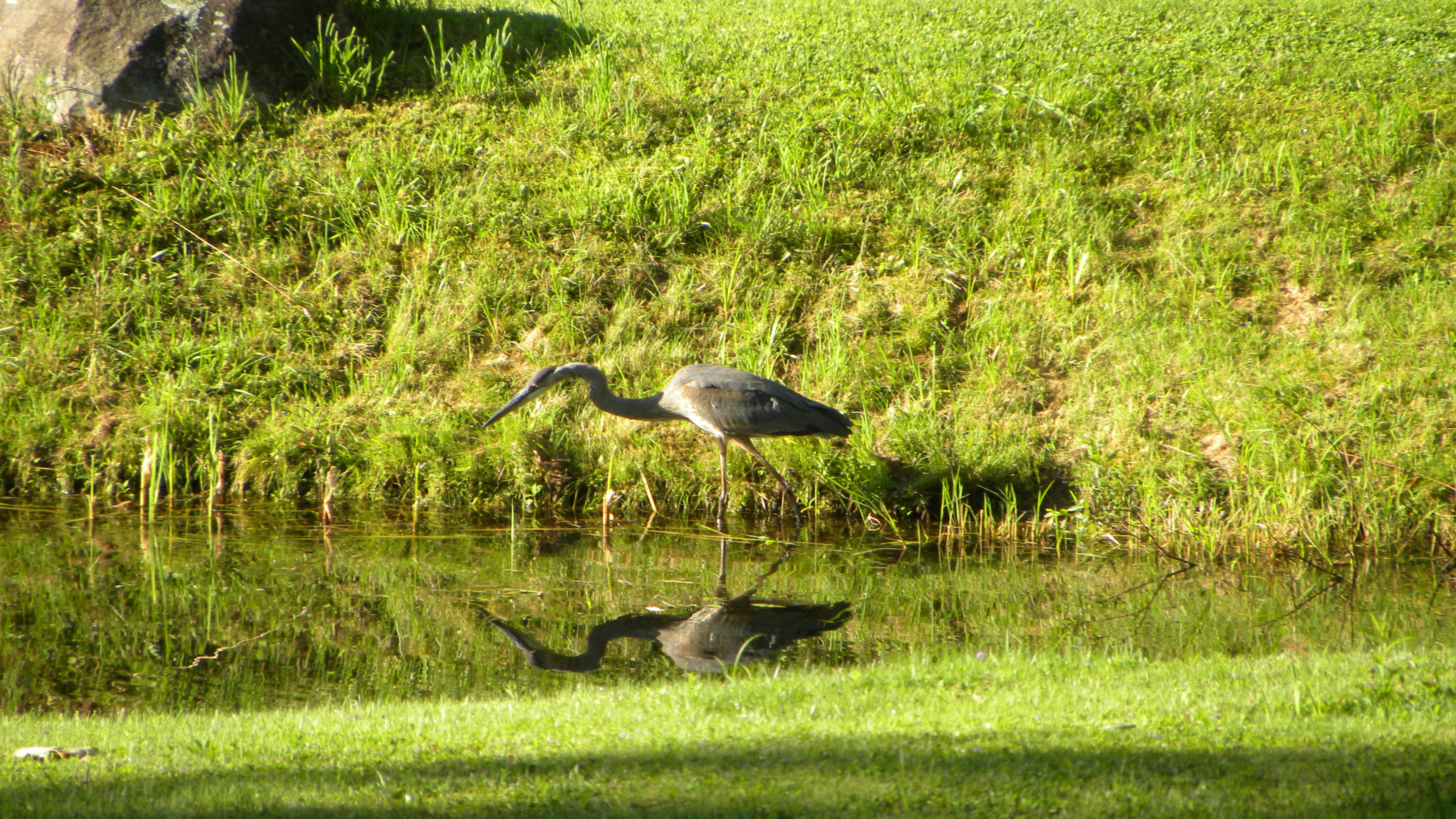 DSCN5217.JPG
