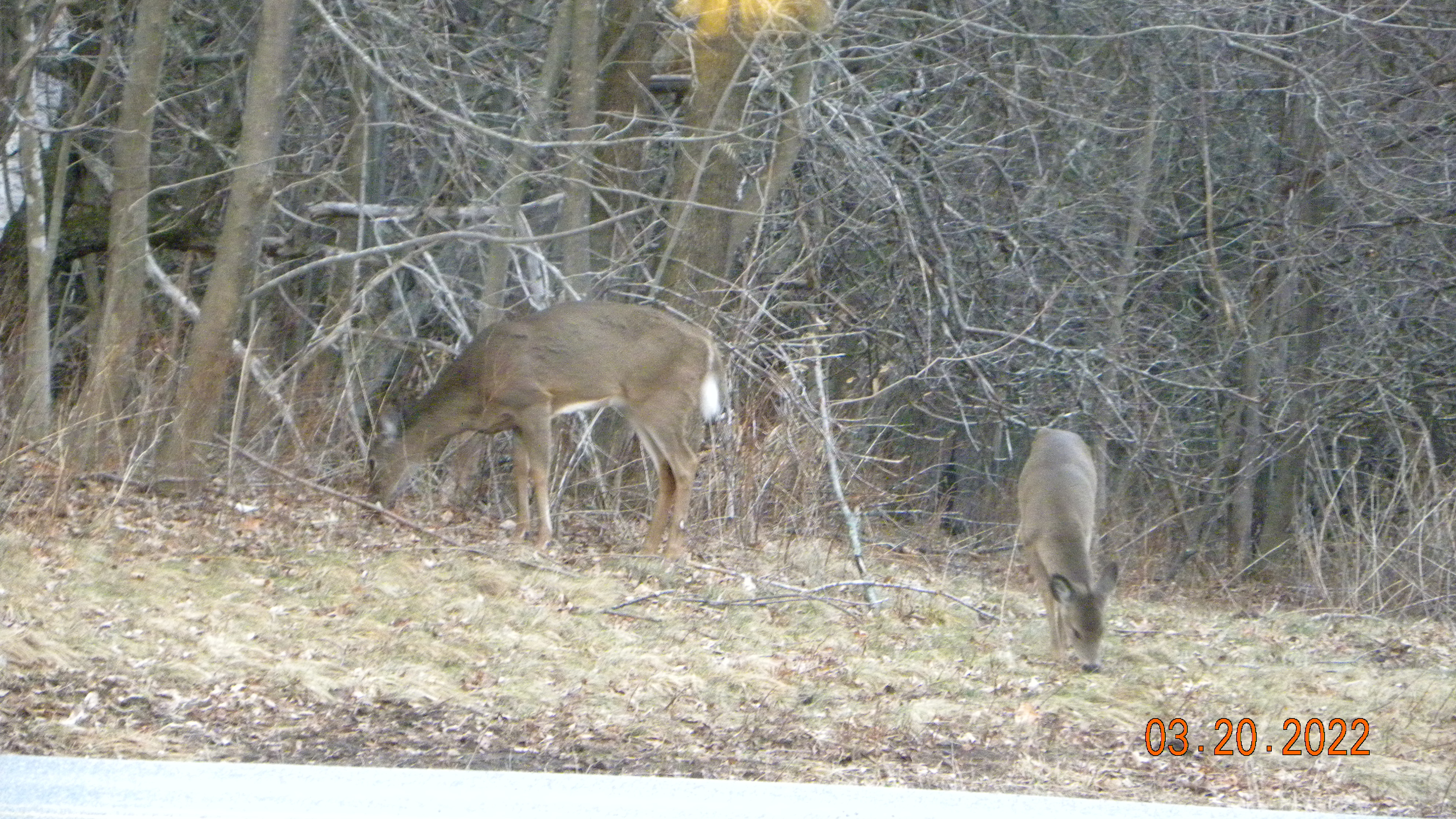 DSCN5400.JPG