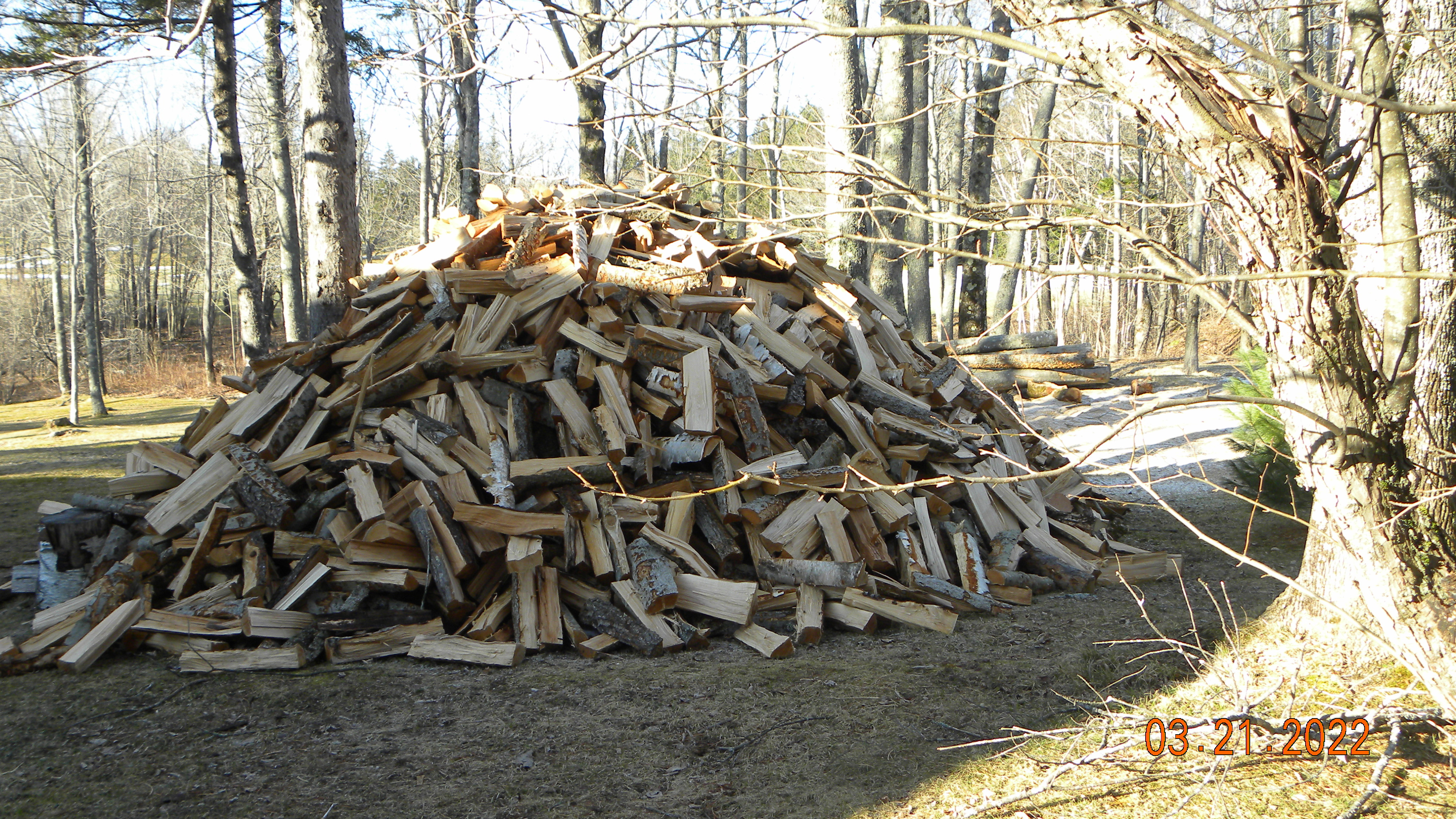 DSCN5407.JPG
