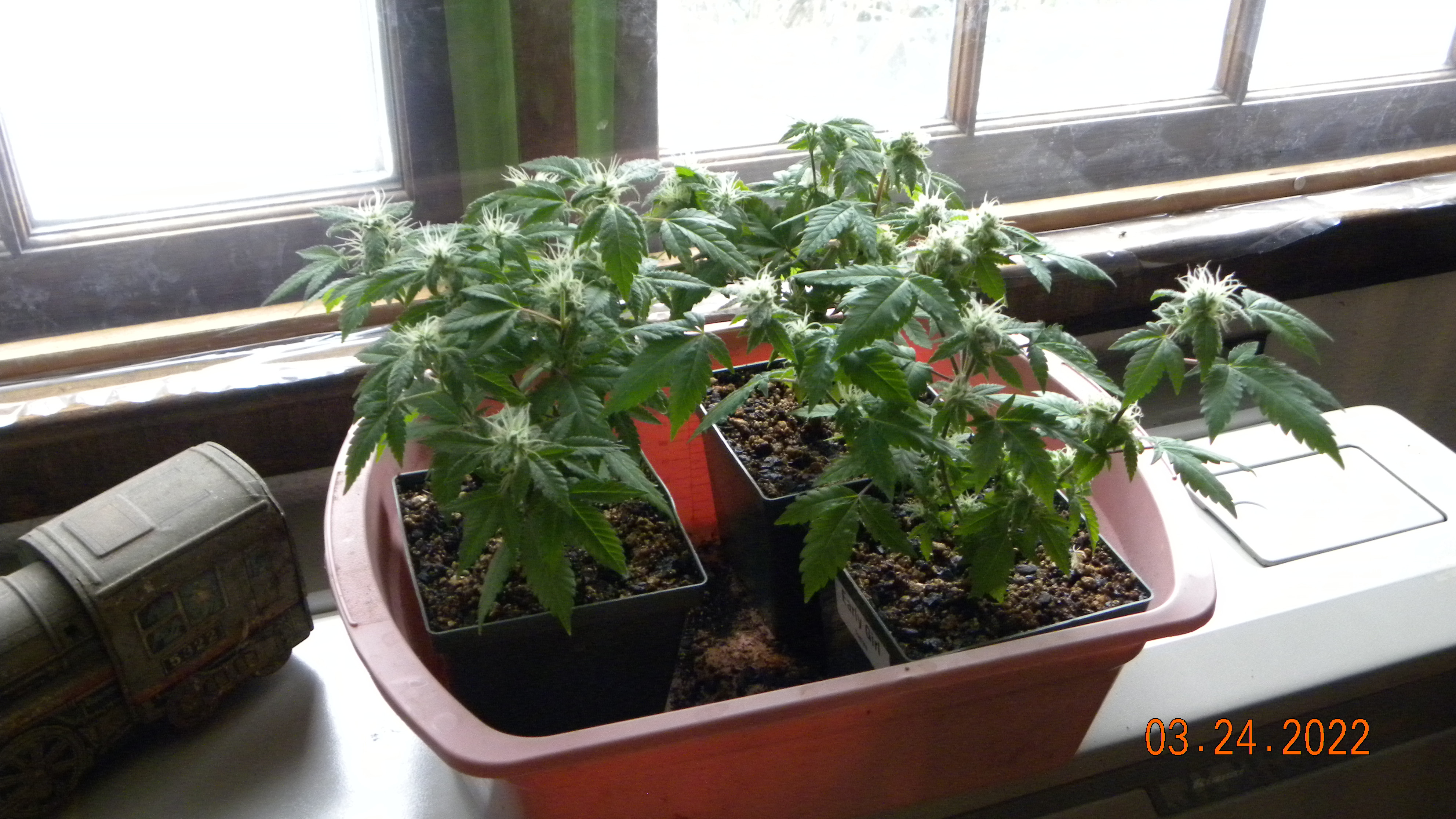 DSCN5411.JPG