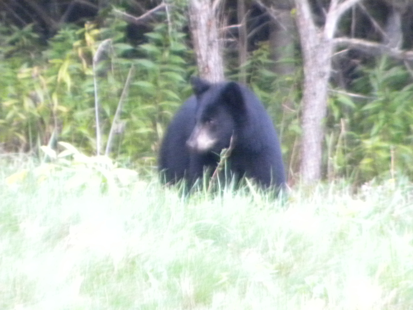 DSCN5559.jpg