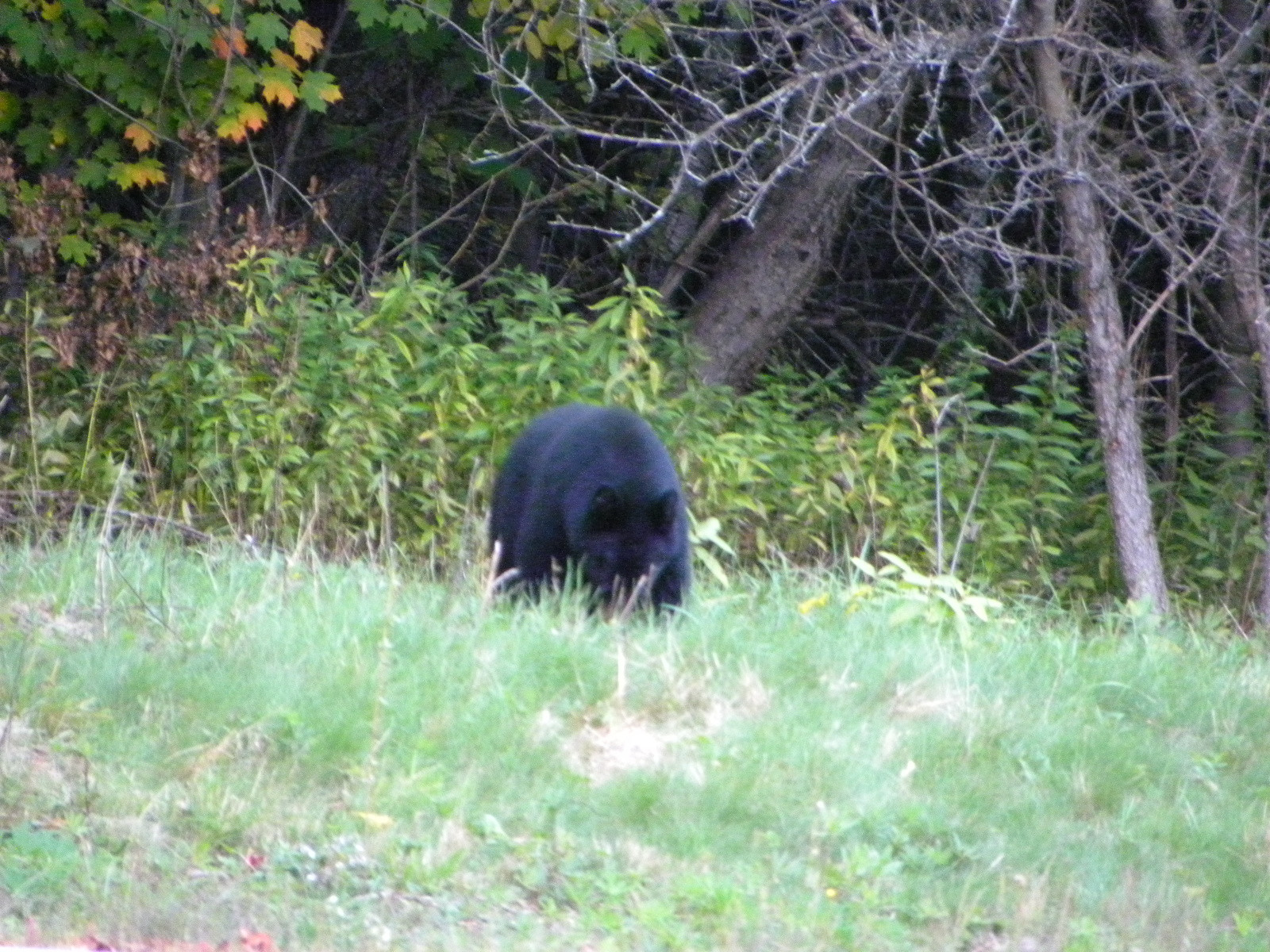 DSCN5583.jpg