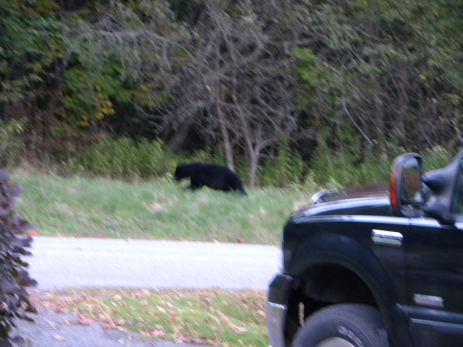 DSCN5585.jpg
