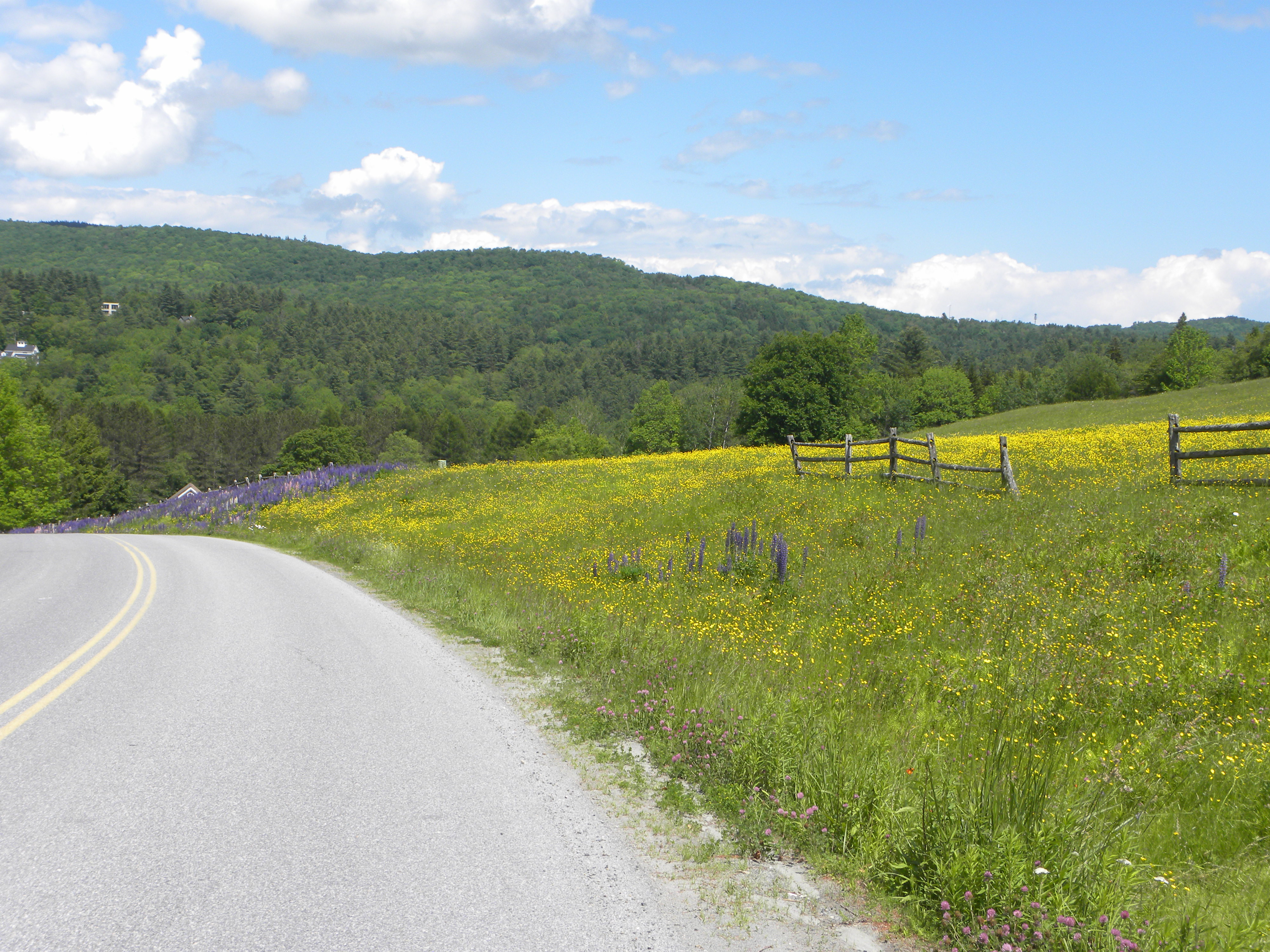 DSCN5697.jpg
