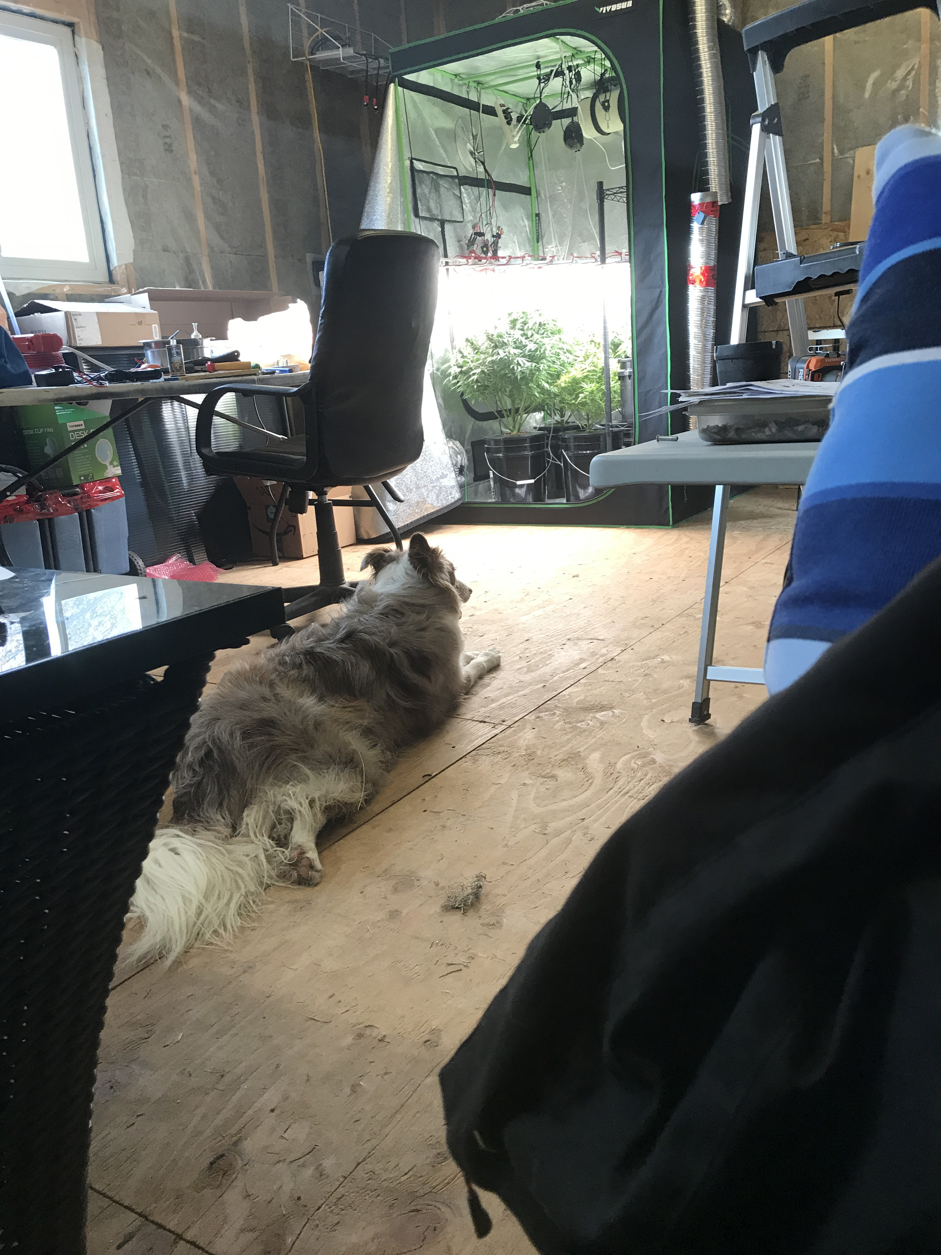 F193F0F1-EAEE-48C9-89FA-B6F170590C21.jpeg