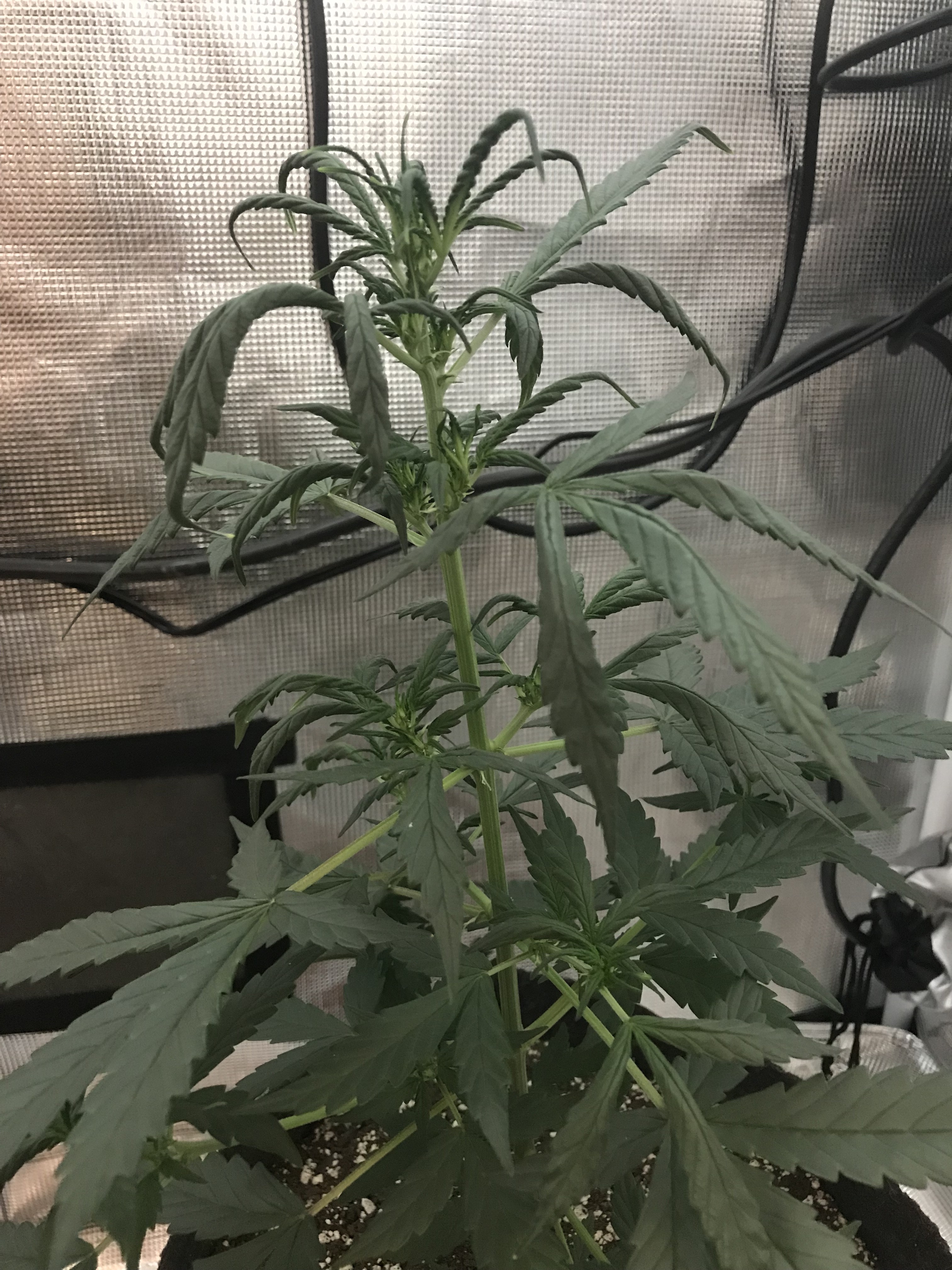 F3284738-0CBD-42E4-9120-73EC1EFA0ACE.jpeg