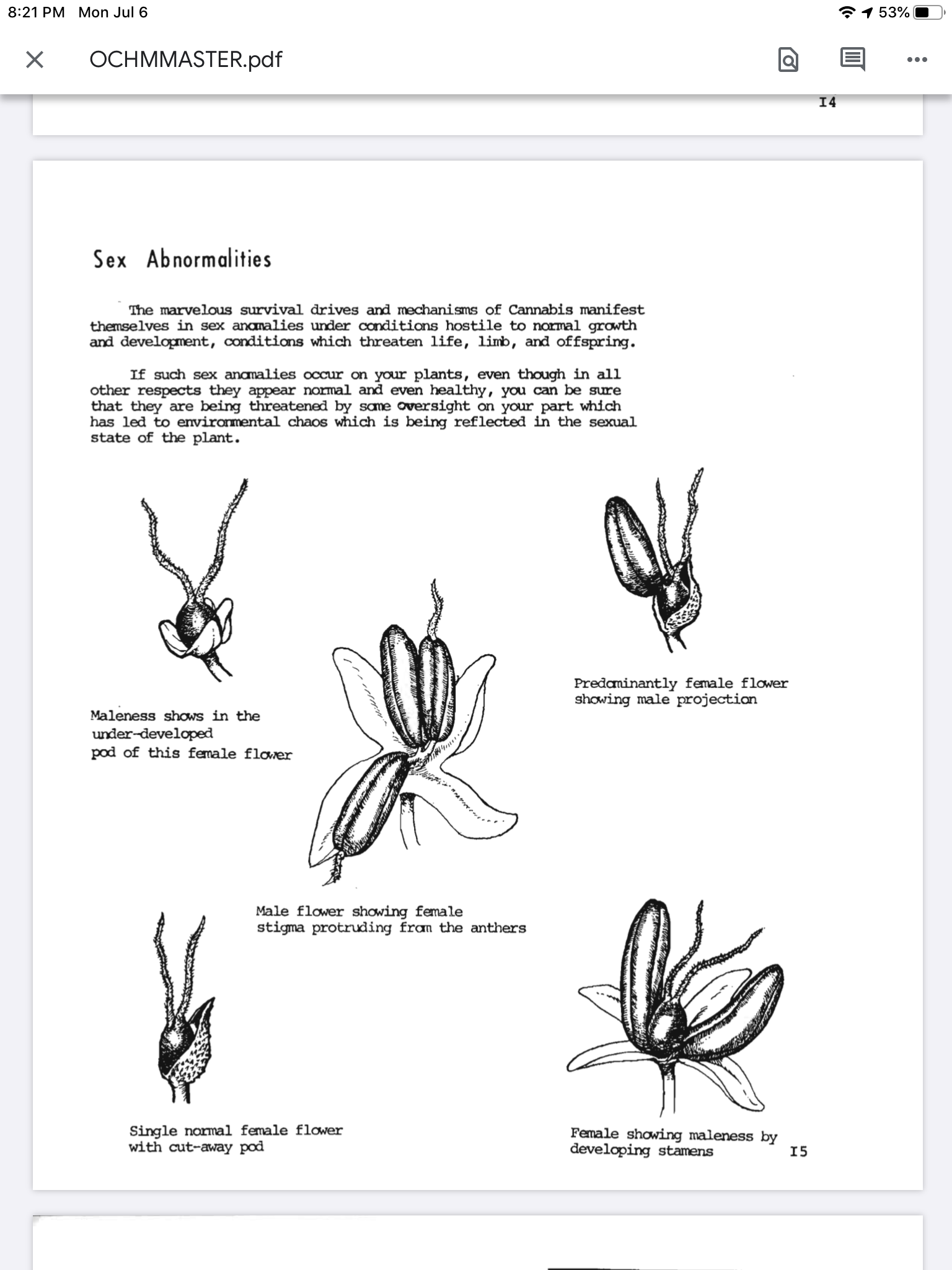 F6D65240-F254-484F-9135-B90AF8B90495.png