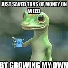 FB_IMG_1545712759056.jpg