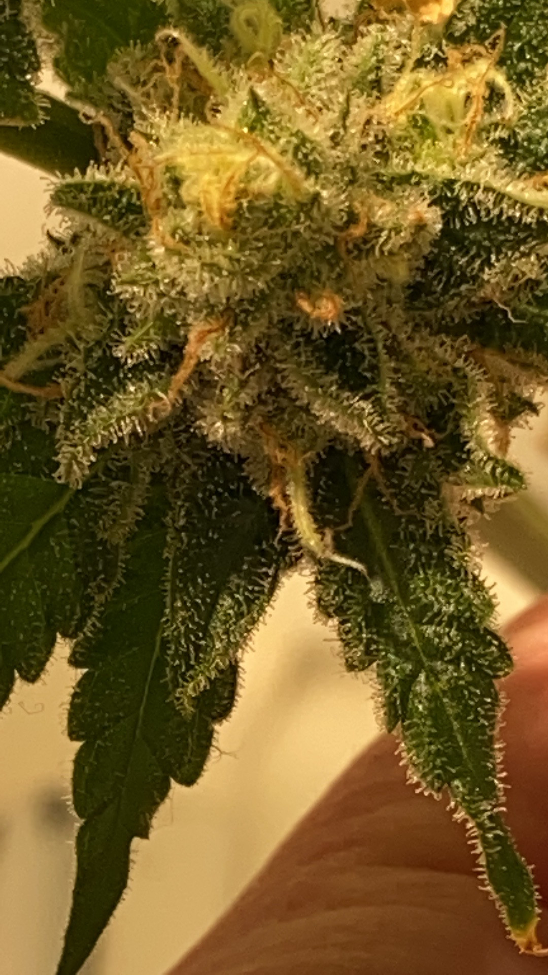 feb28 4.JPG