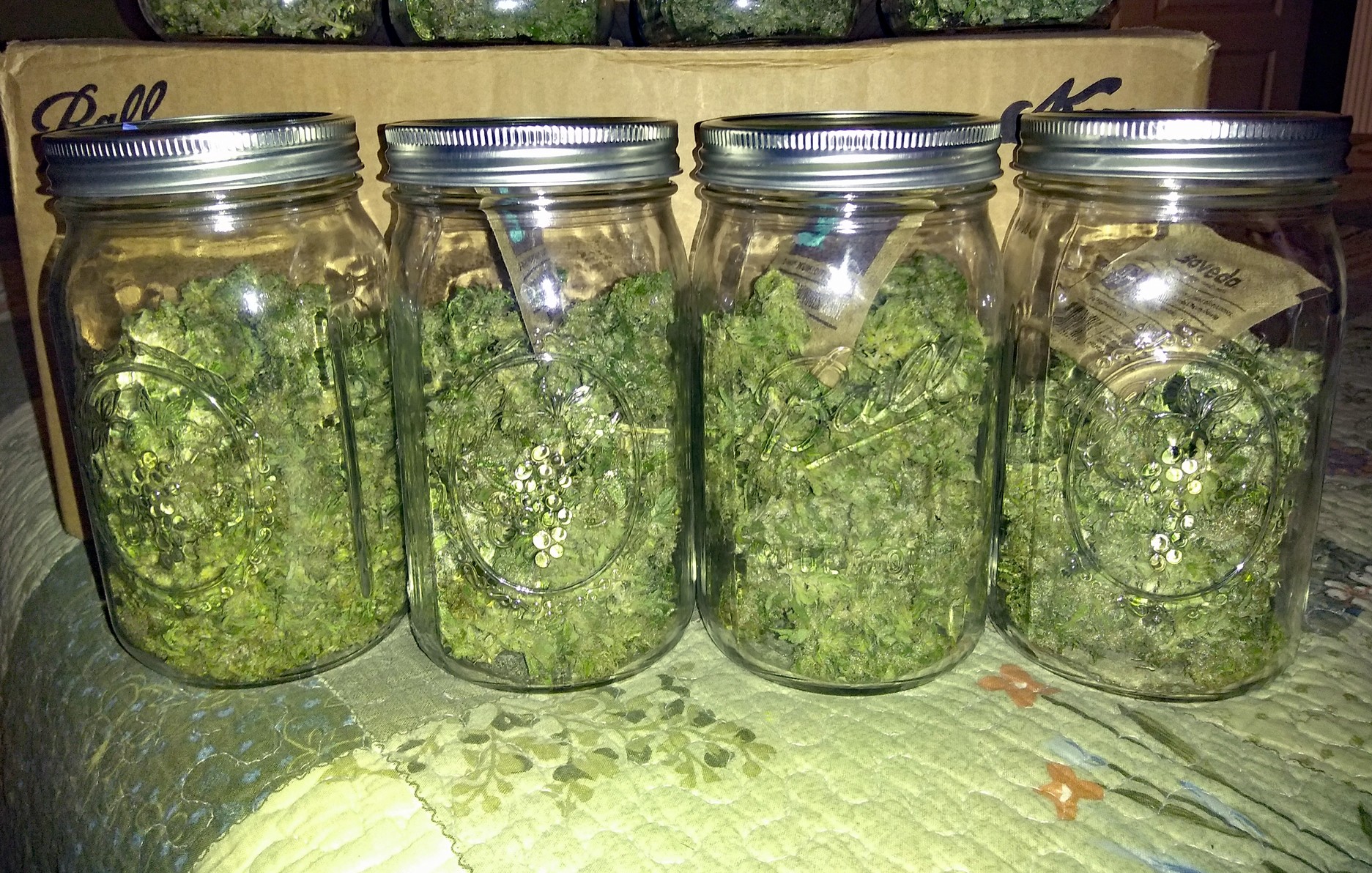 Final yield 02 - jars 1-4.jpg