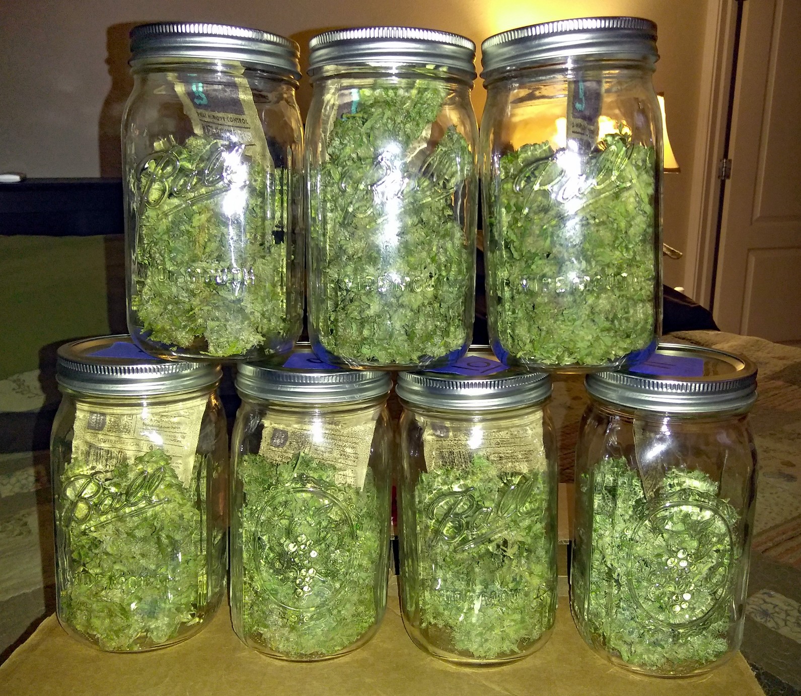 Final yield 03 - jars 6-11.jpg