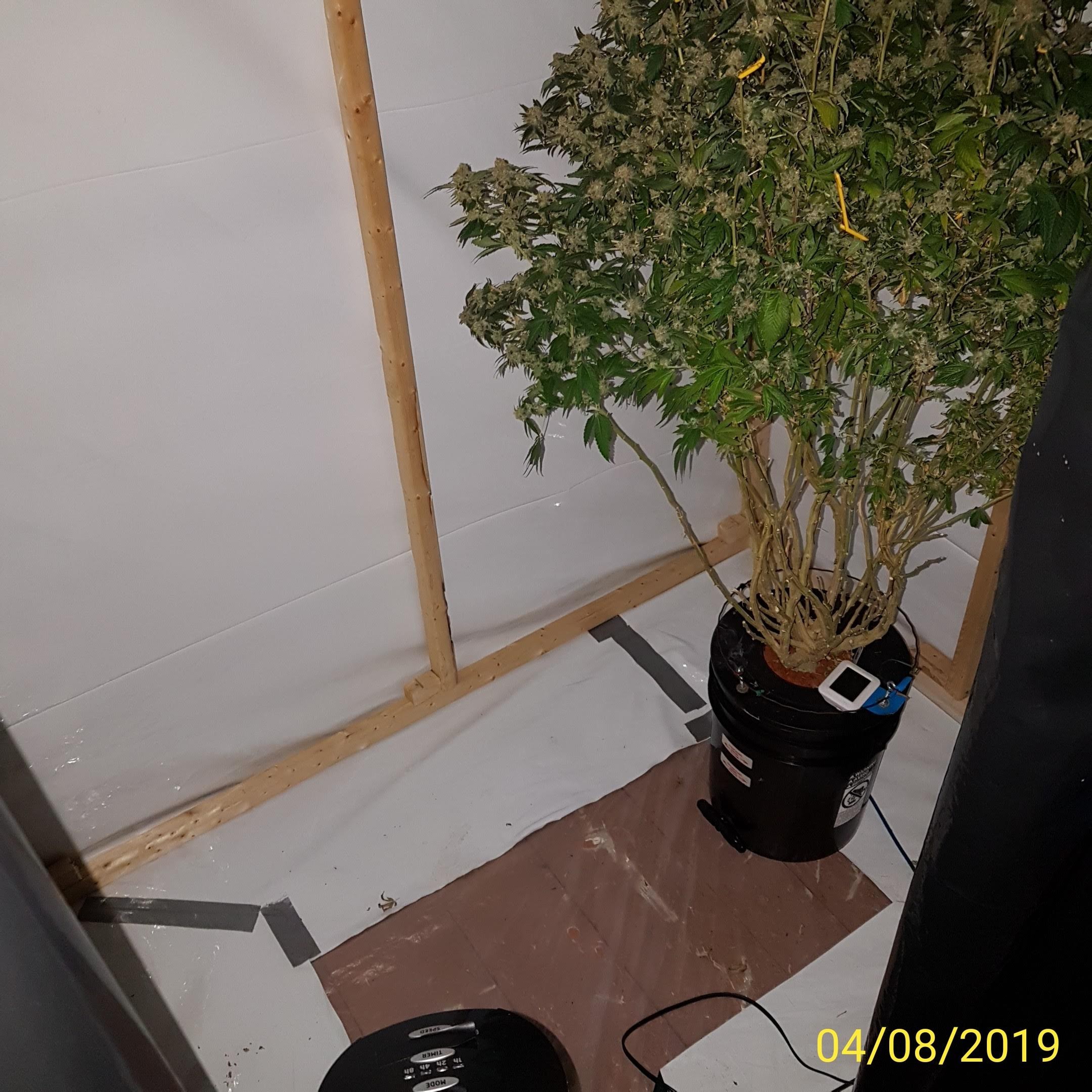 flower box.jpg