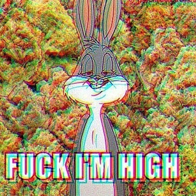 fuck I'm high.jpg