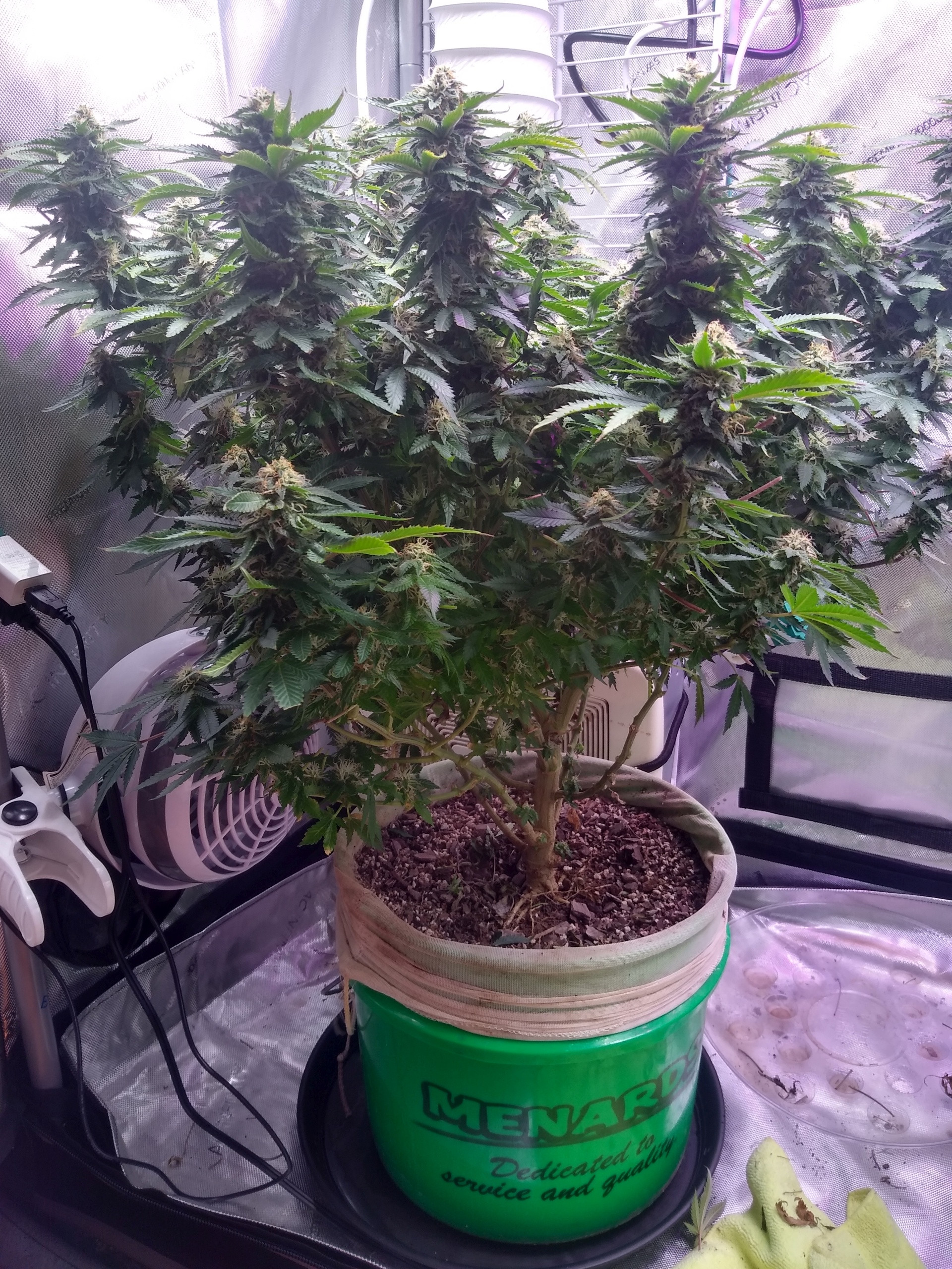 GDP 1 22 w5 F.jpg