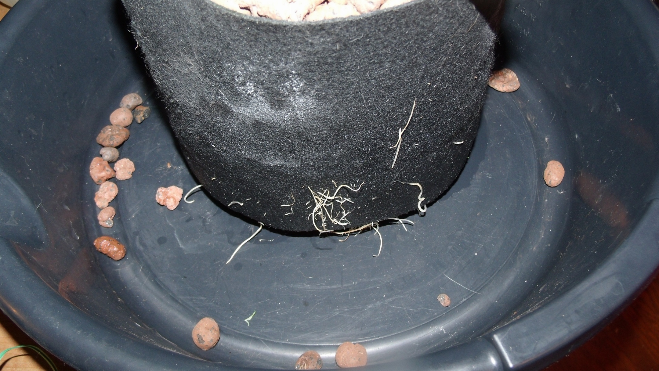 GEDC0748.JPG