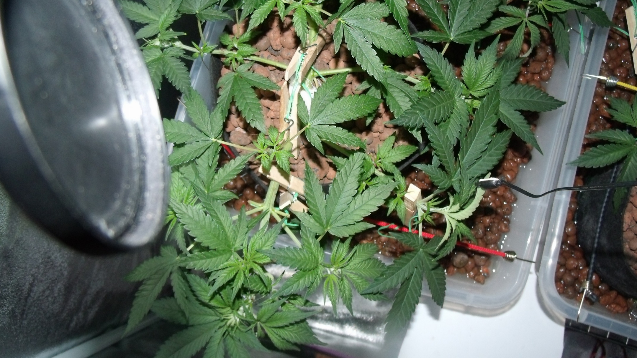 GEDC0777.JPG