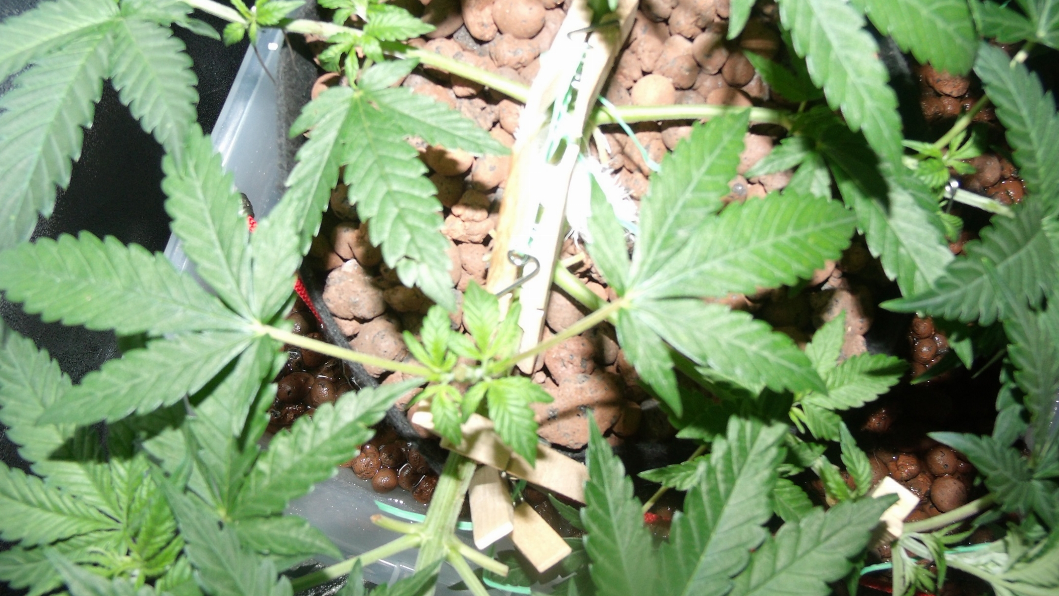 GEDC0784.JPG