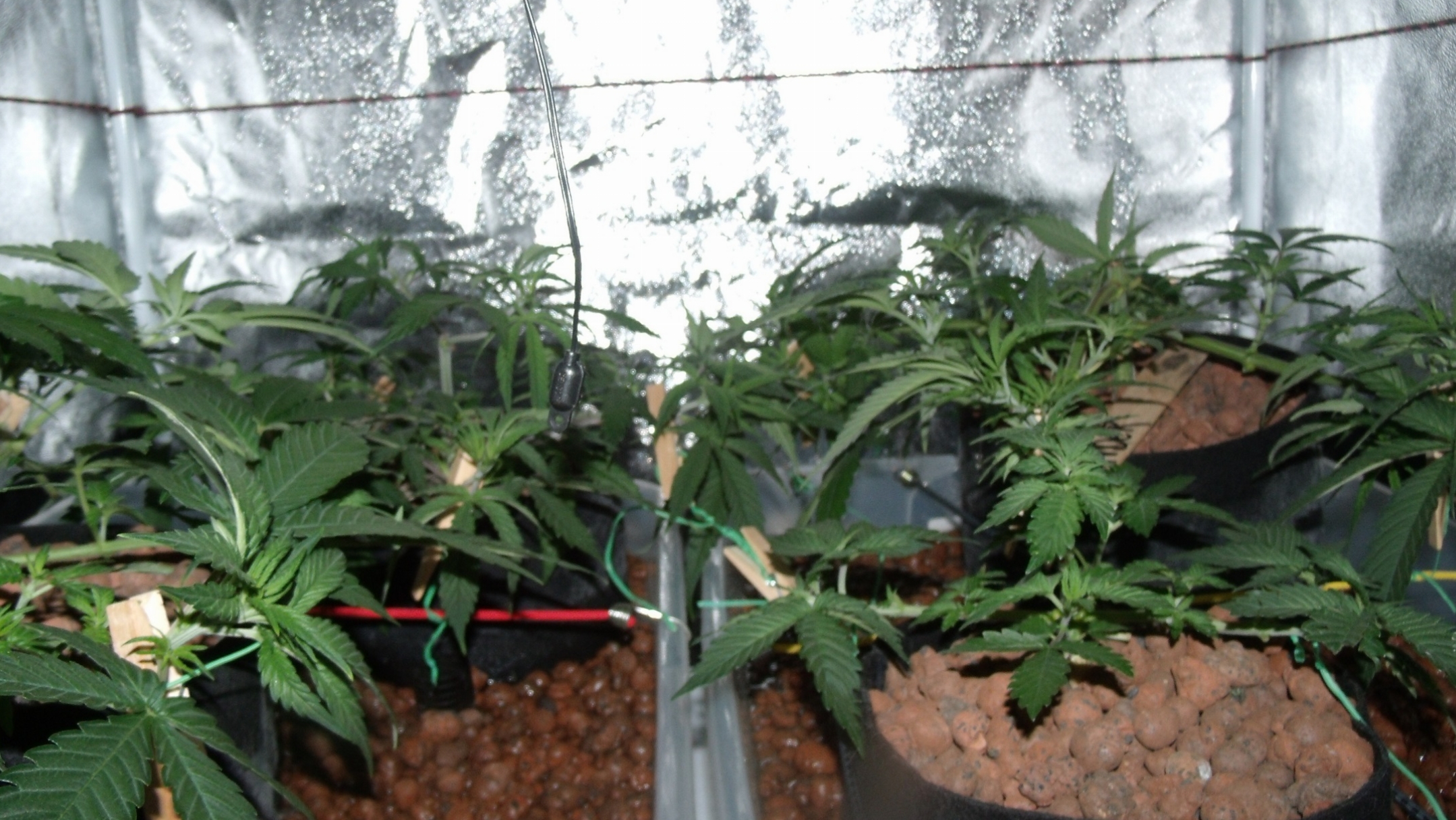 GEDC0785.JPG