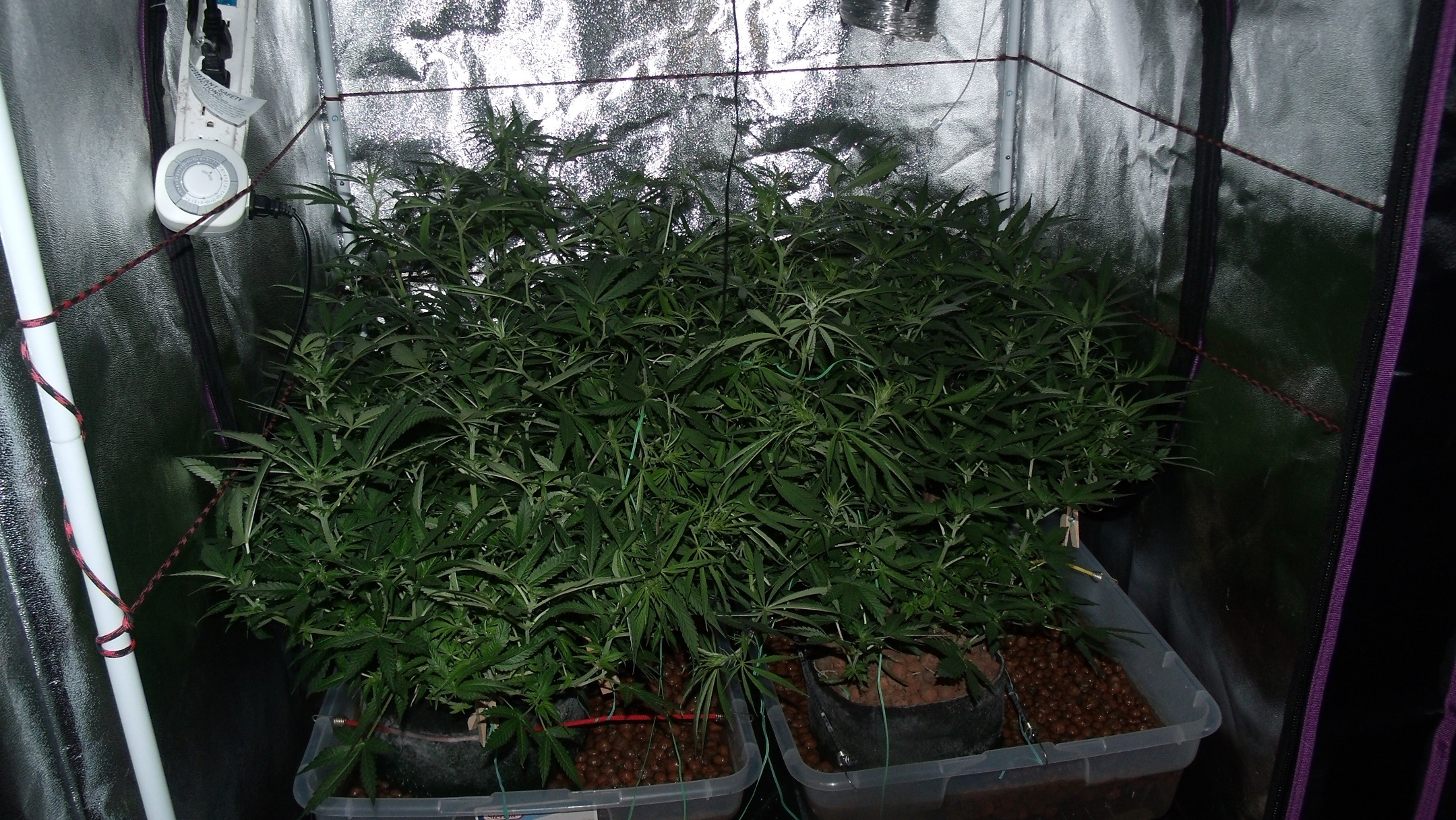 GEDC0814.JPG